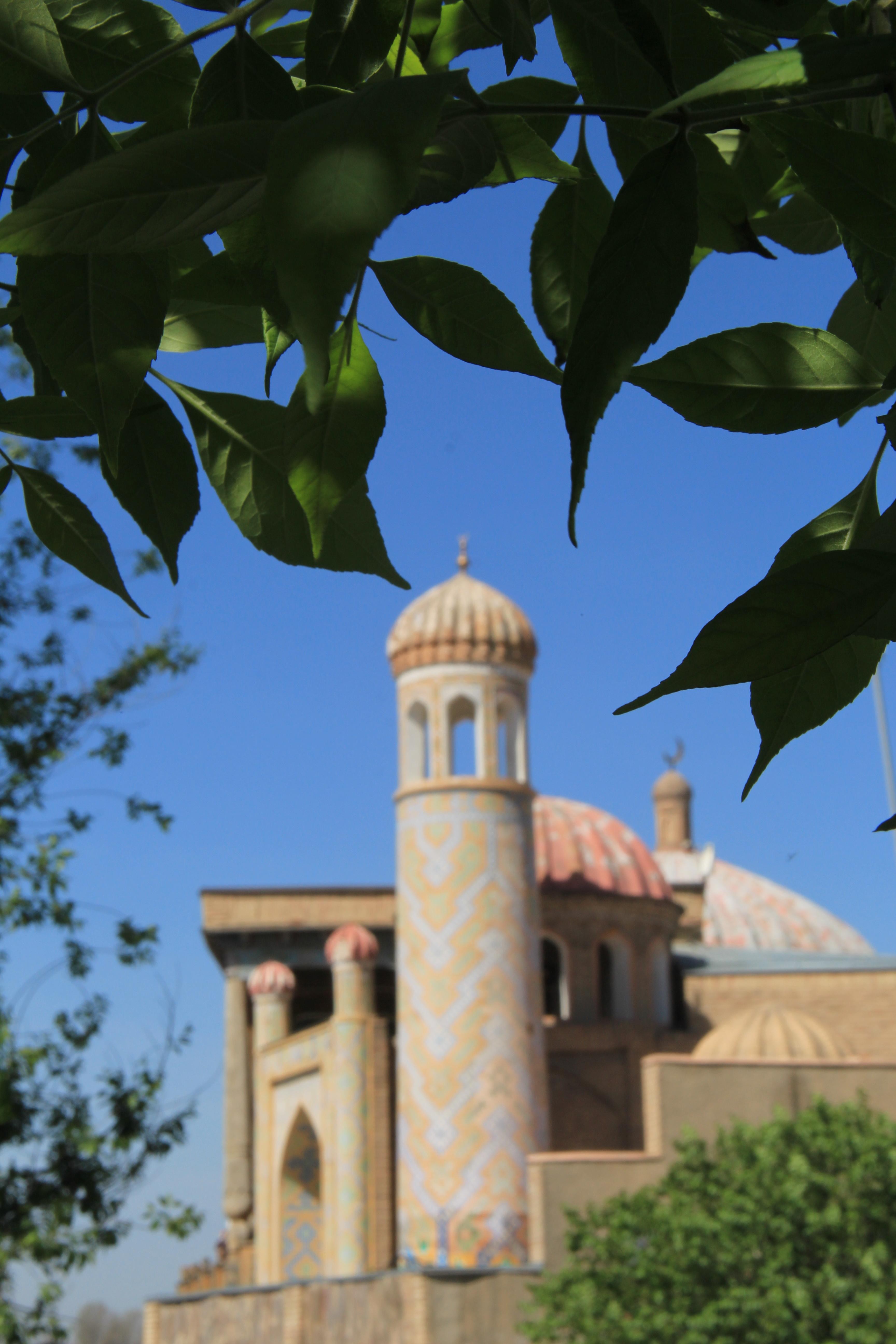From Tashkent: Round-Trip Bullet Train Day Tour to Samarkand 3