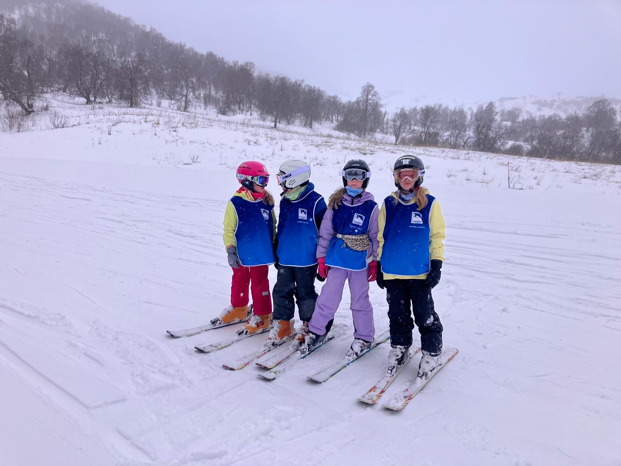 Bakuriani: Private or group Ski Lesson