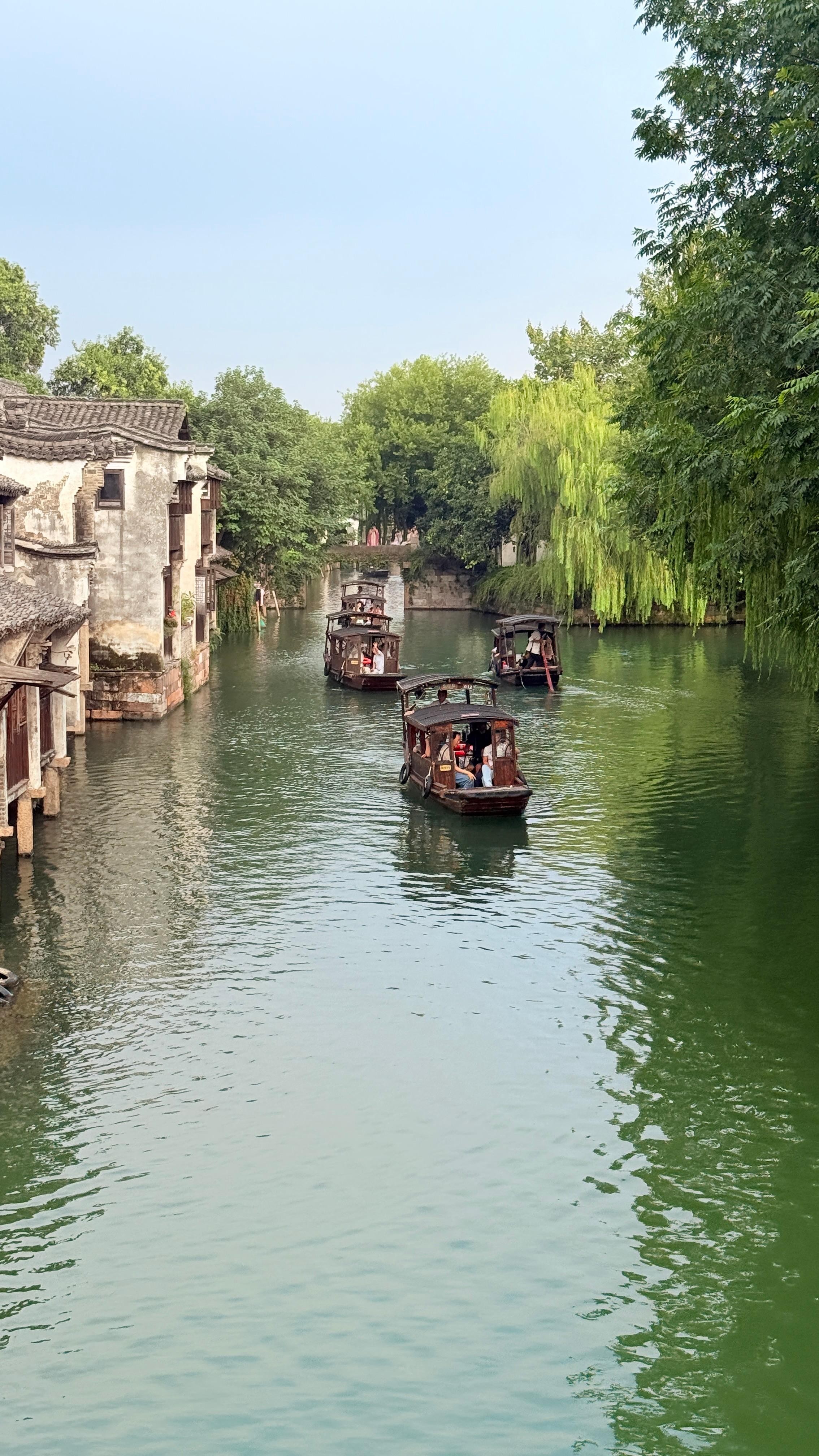 From Shanghai: Wuzhen Ancient Water Town 1-Day Private Tour