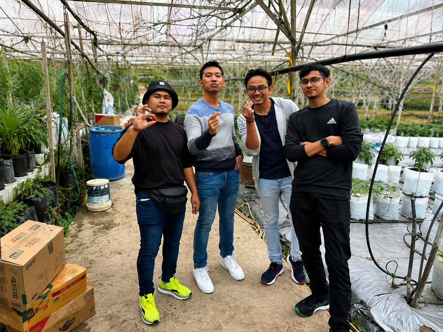 From Ipoh: Cameron Highlands Sightseeing Tour 2