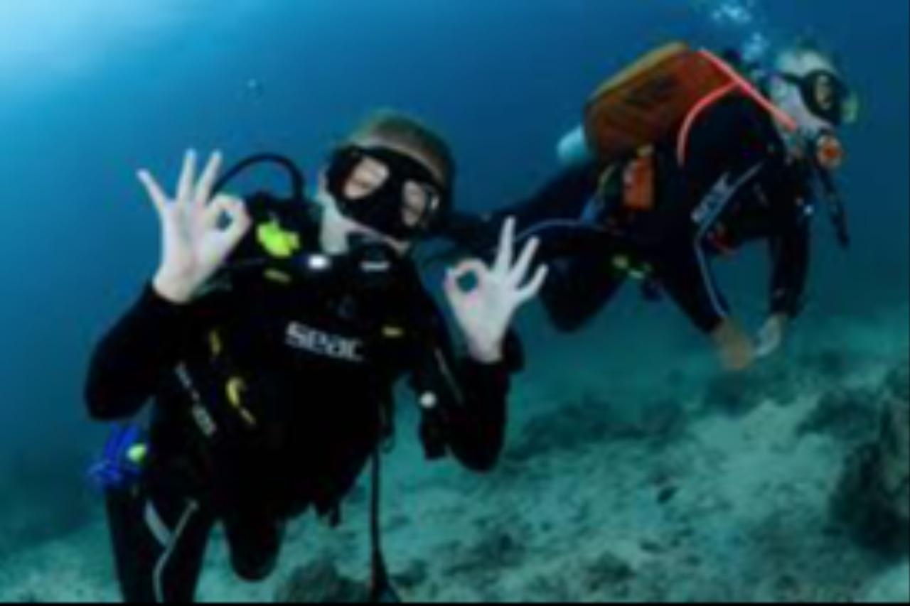 Salalah: Scuba Diving Discover Oman’s hidden underwater gems 3