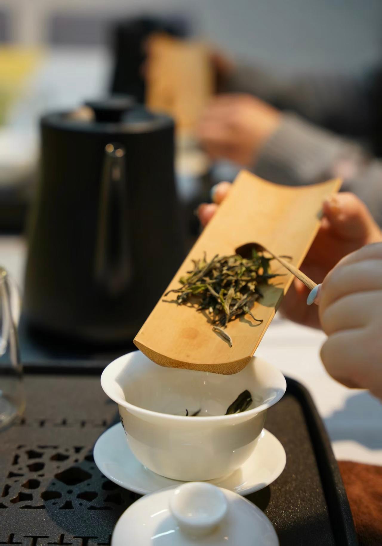 Shanghai: Tea Ceremony and Calligraphy with Transfer