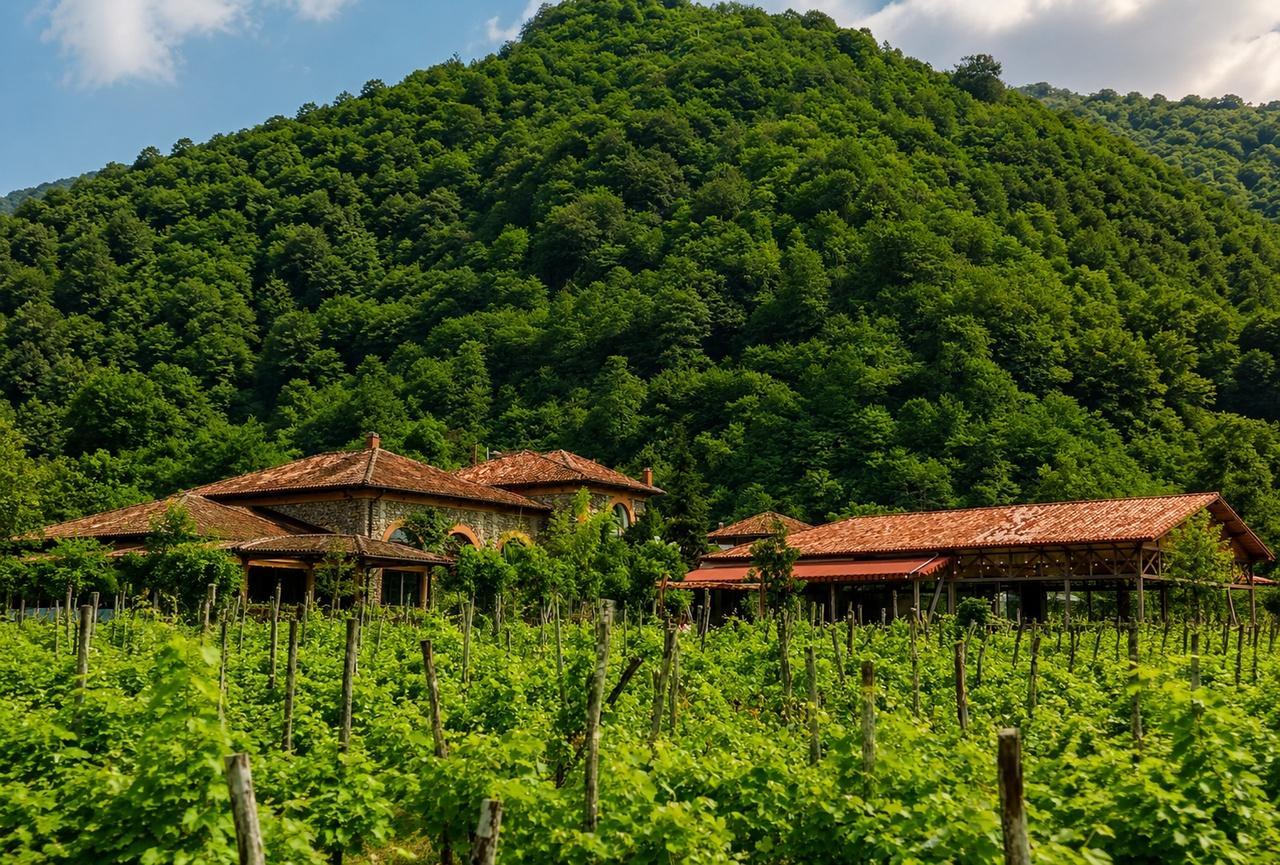 Batumi: Vineyard Tour with Wine Tasting and Lunch 2