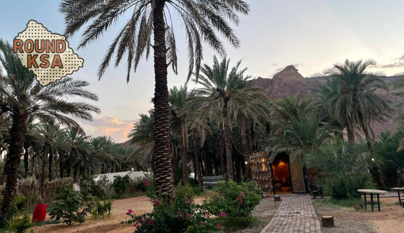 Madinah: 3-Day Private Eid Family Experience with Meals — guided tour in Medina