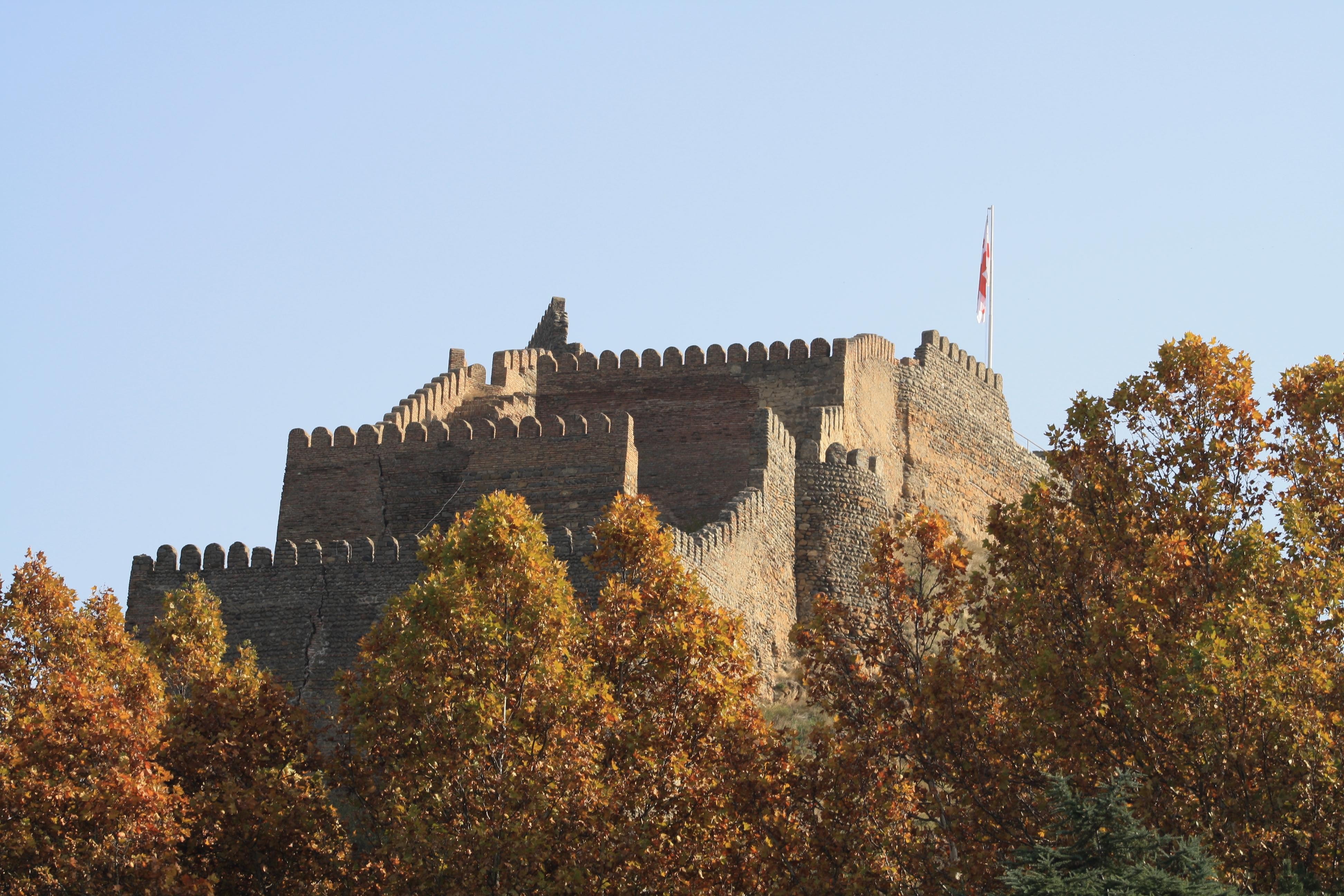 Gori: Guided Walking Tour with Train Transfer to Tbilisi