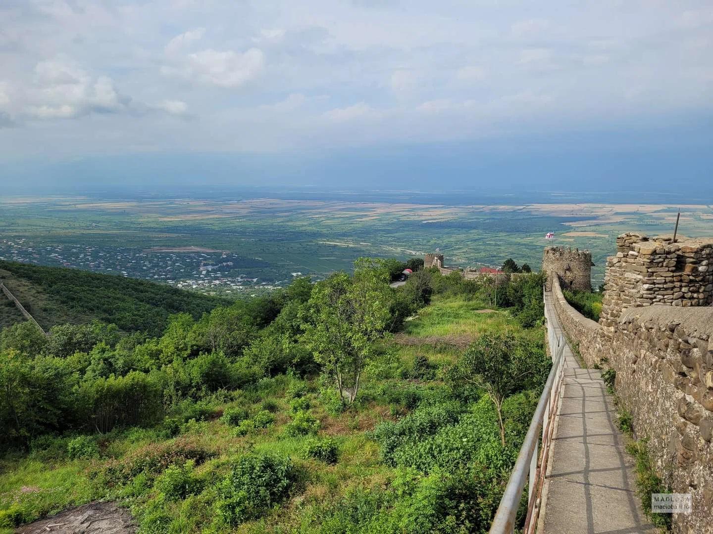 Tbilisi: Kakheti Wine Region Day Trip with Wine Tasting 3