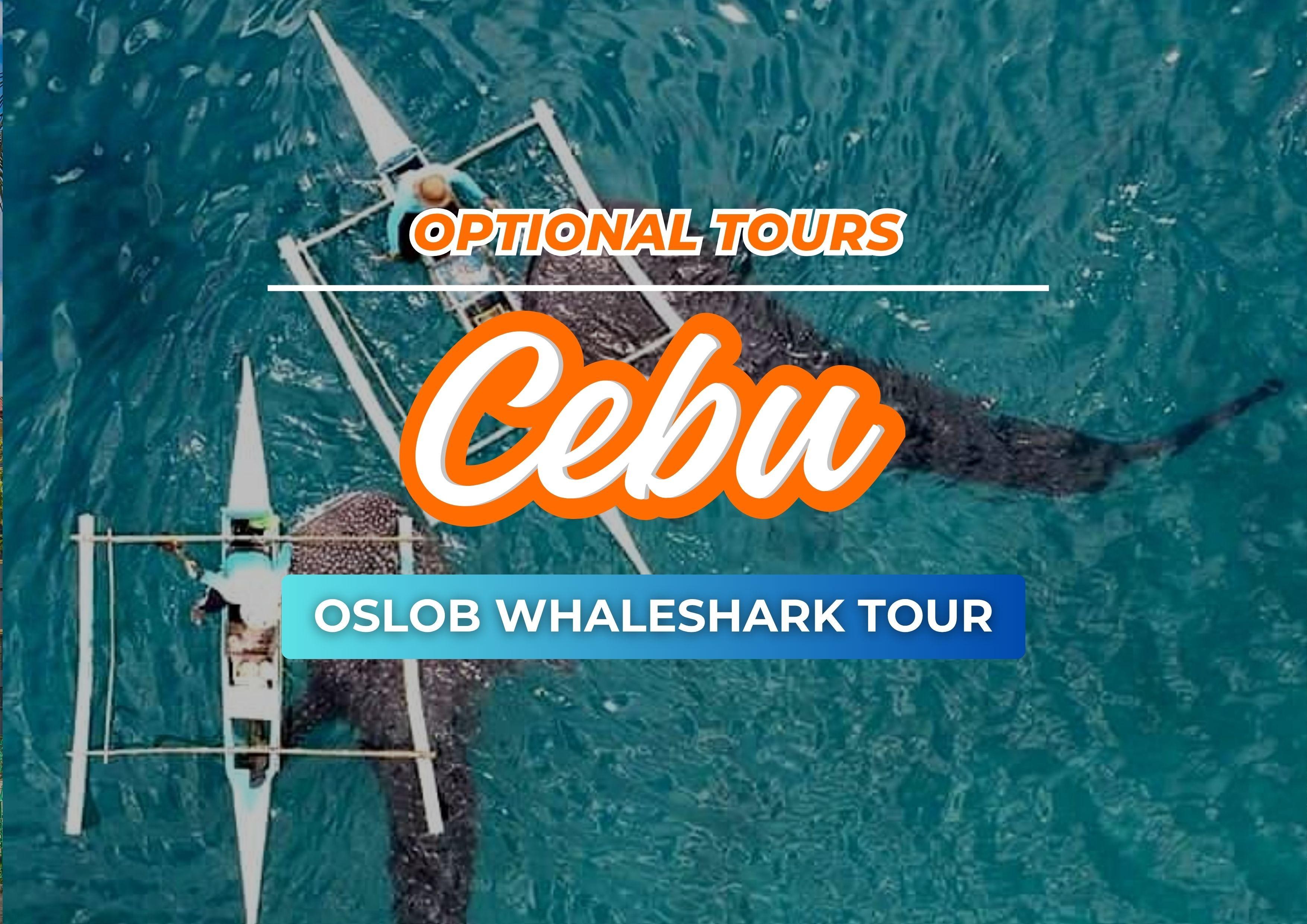 Cebu: Whale Shark Encounter, Sumilon Island, & Simala Church