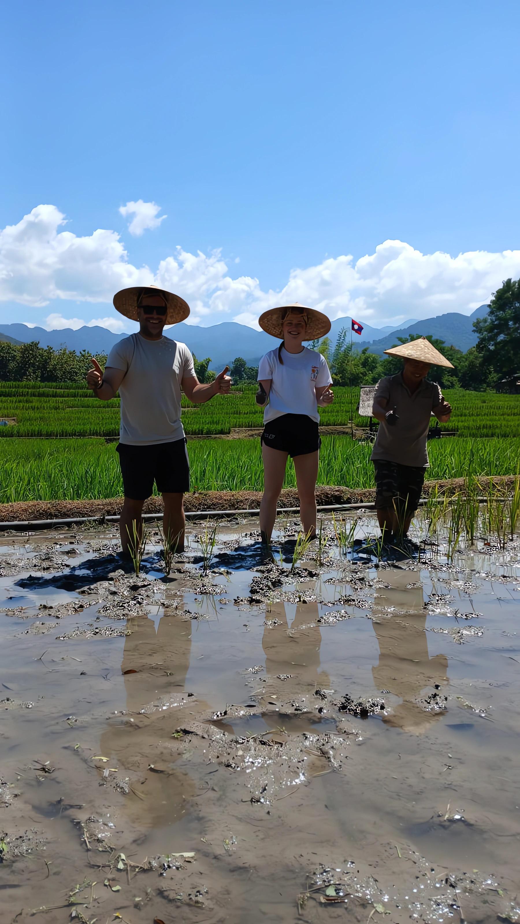 Kuang Si Waterfall & Rice Farm Experience with Sunset Cruise
