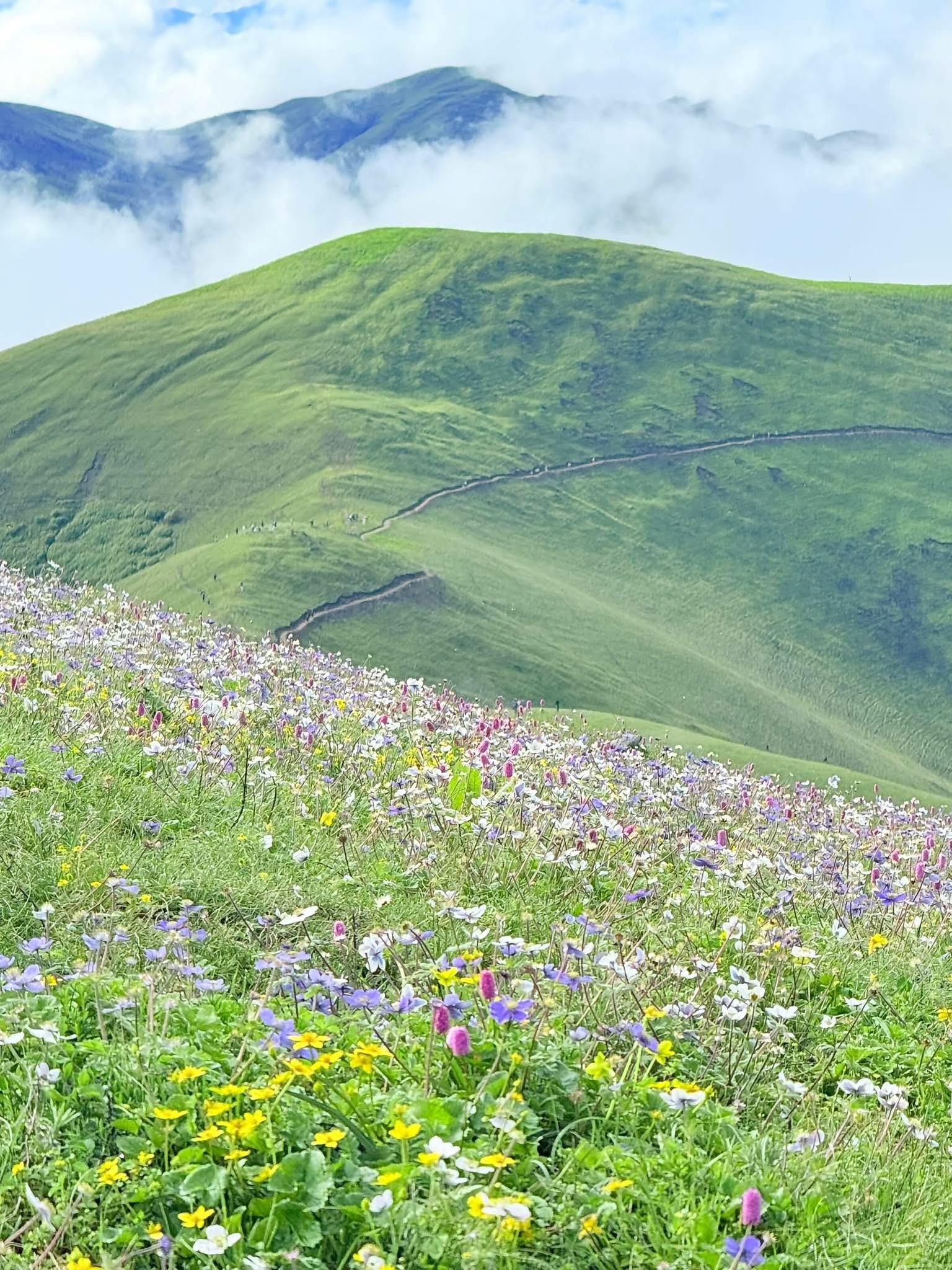 From Pokhara: 4-Day Dhorpatan & Bukipatan Trekking Tour 2