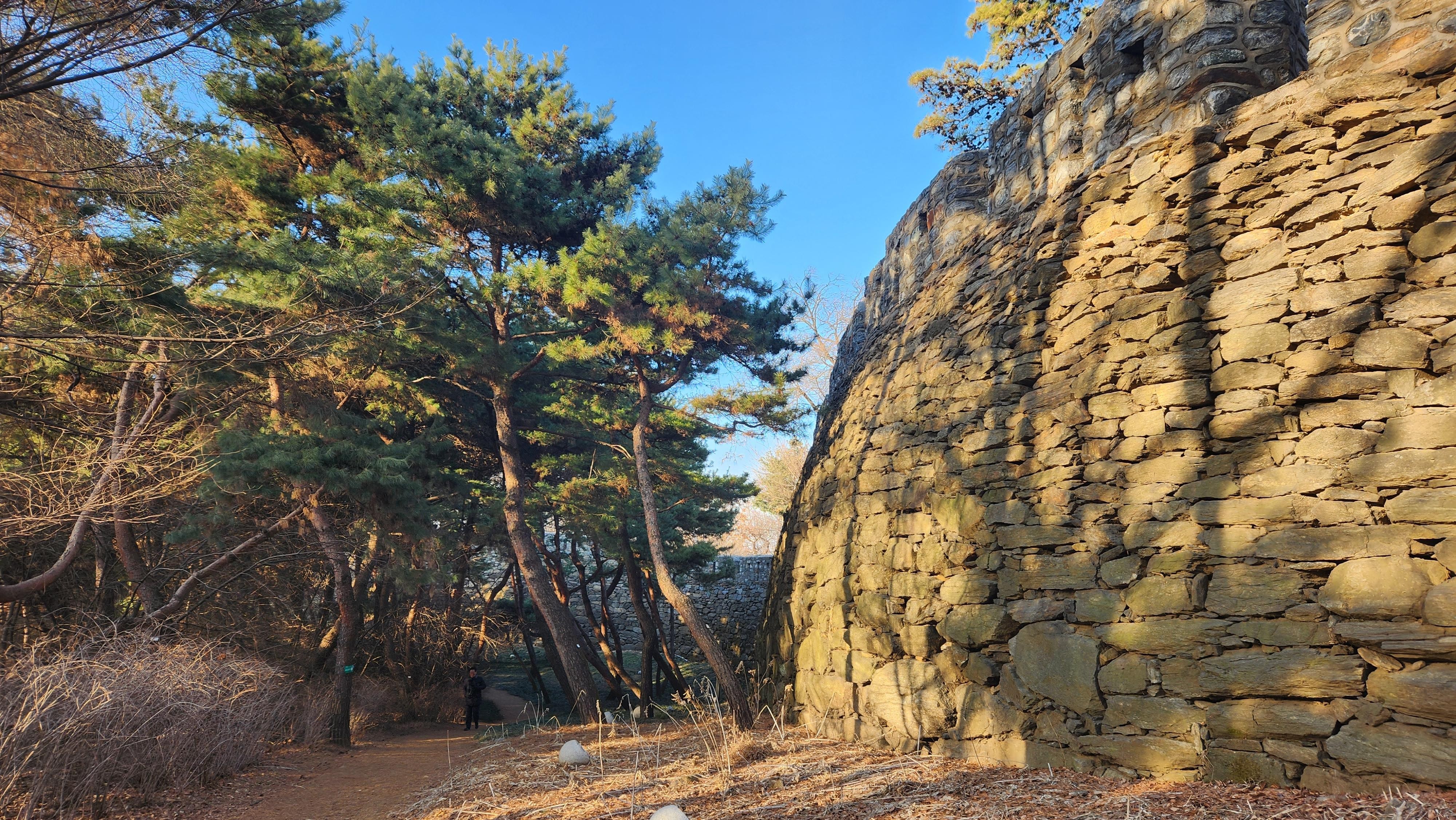 Seoul: Services of a Local for a Day (Paperwork/Tour/Fun)