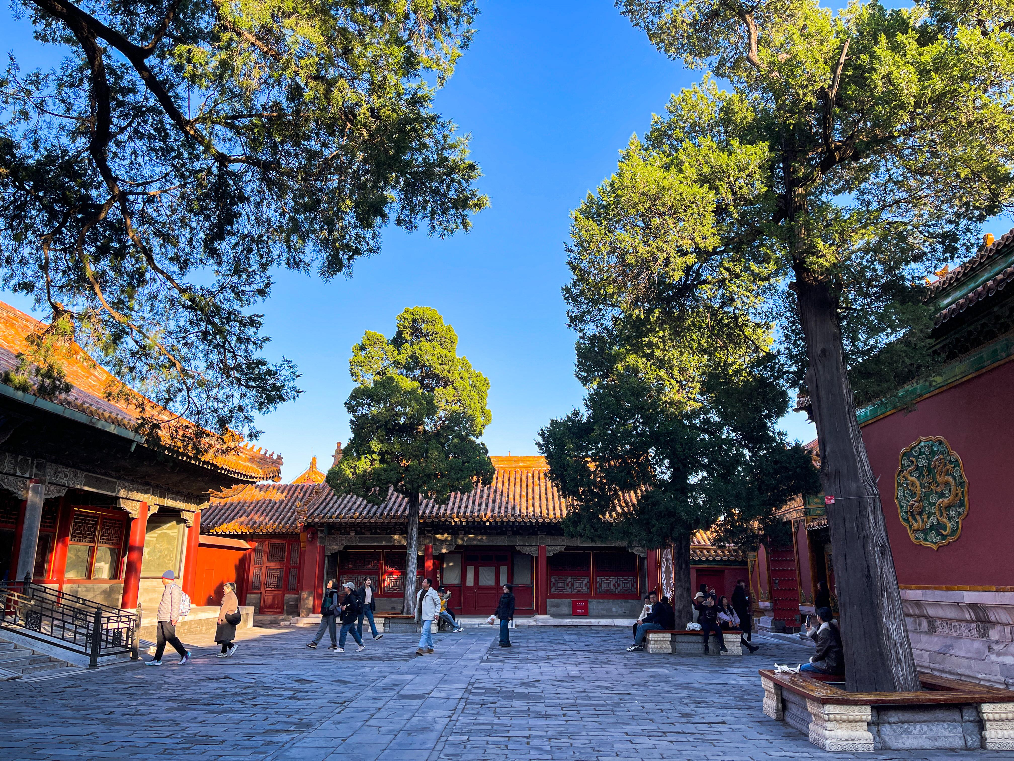 Beijing:Temple of Heaven+Forbidden City Private City Tour 3
