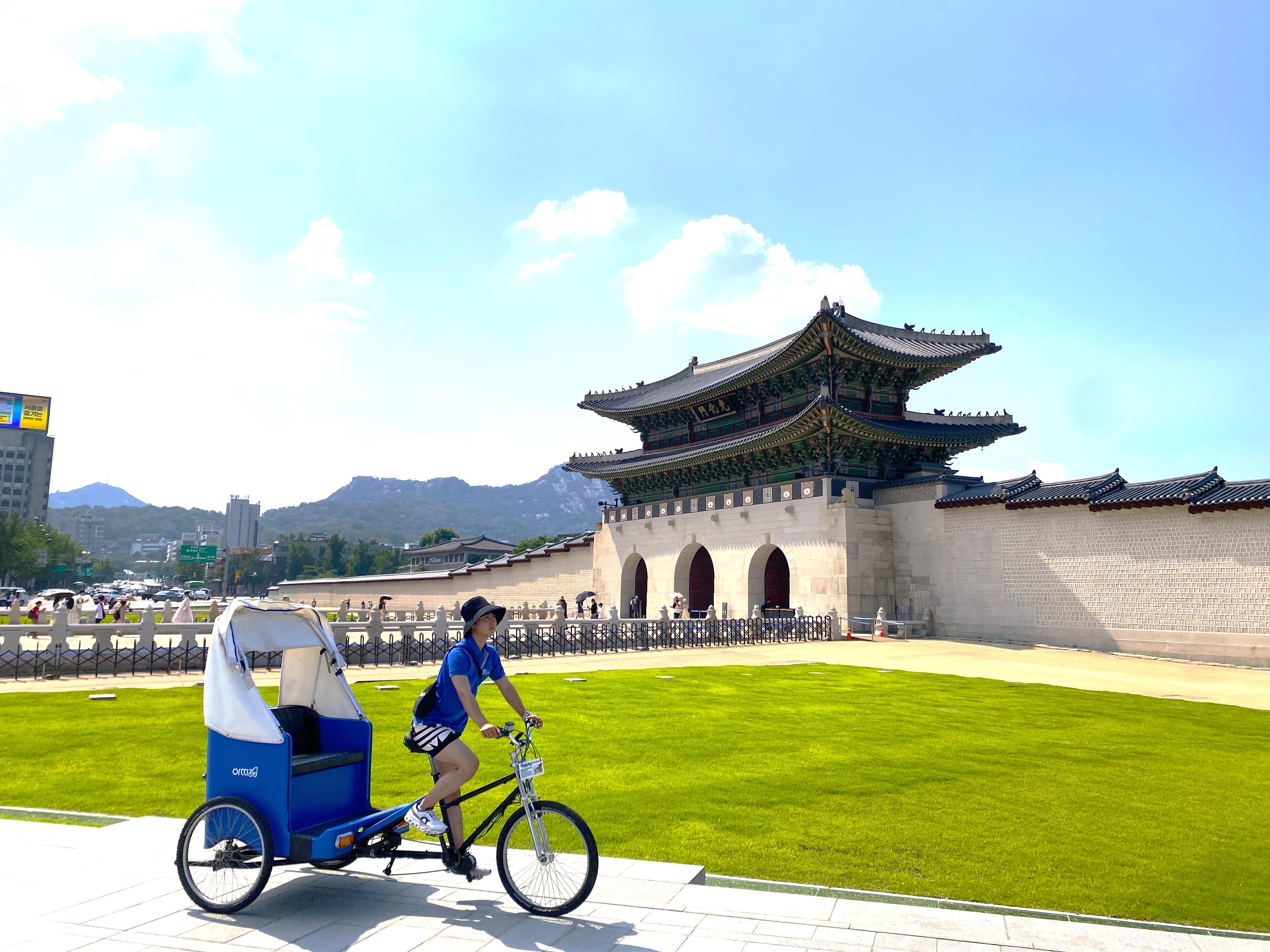 Seoul Landmark Tour (Gwanghwamun, Insadong, Cheonggyecheon)