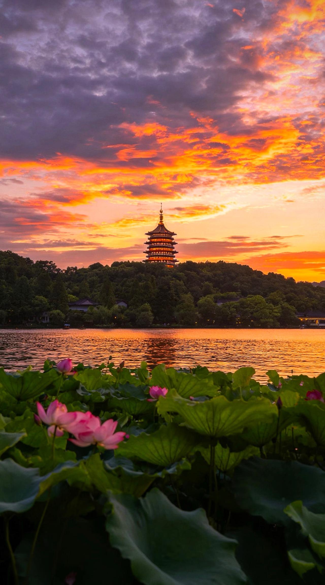 Shanghai: Hangzhou Day Trip with West Lake & Lingyin Temple 2