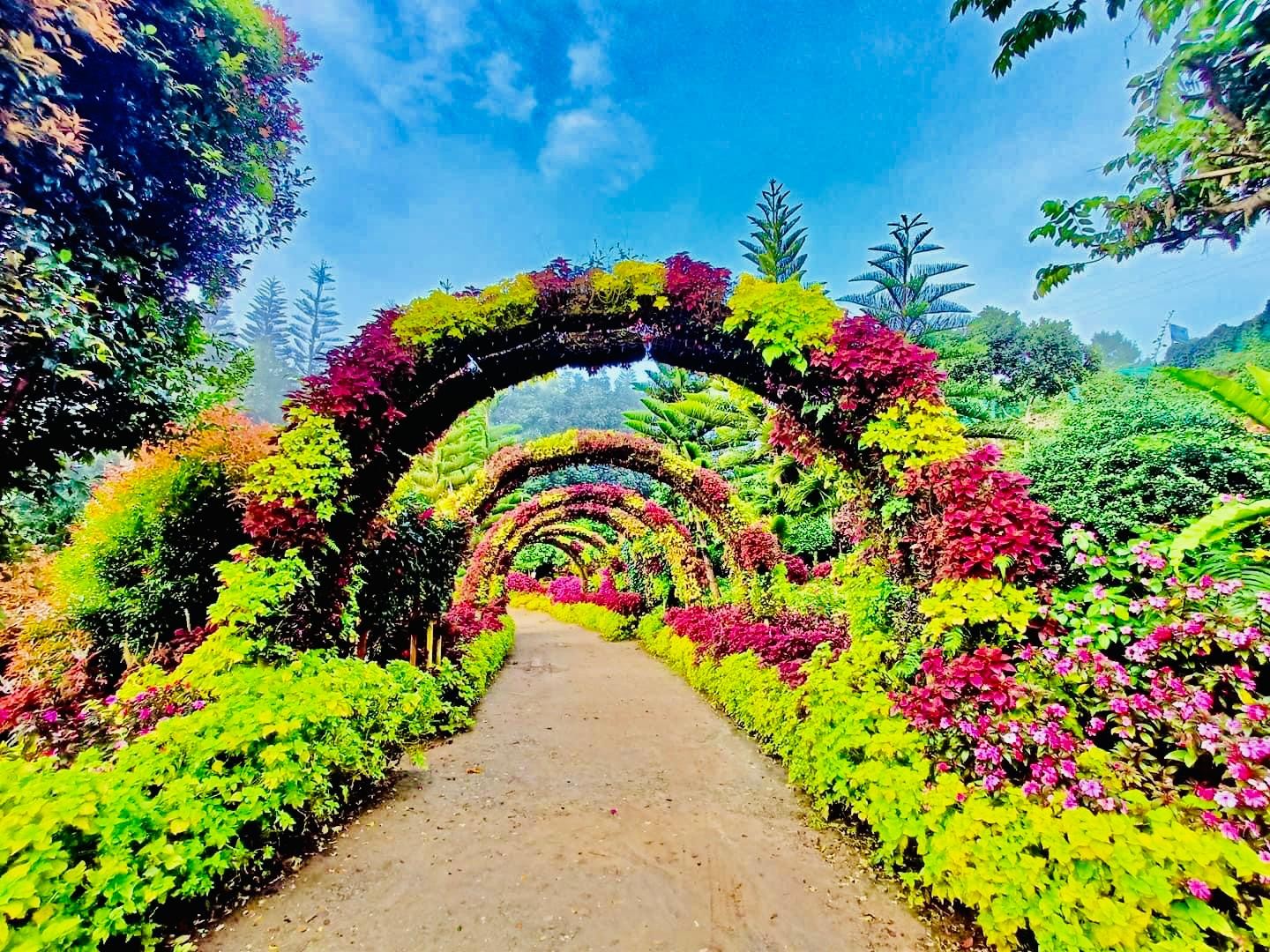 Cebu: 6-Stop Highland Dreamscape & TOPS Sunset Tour 3