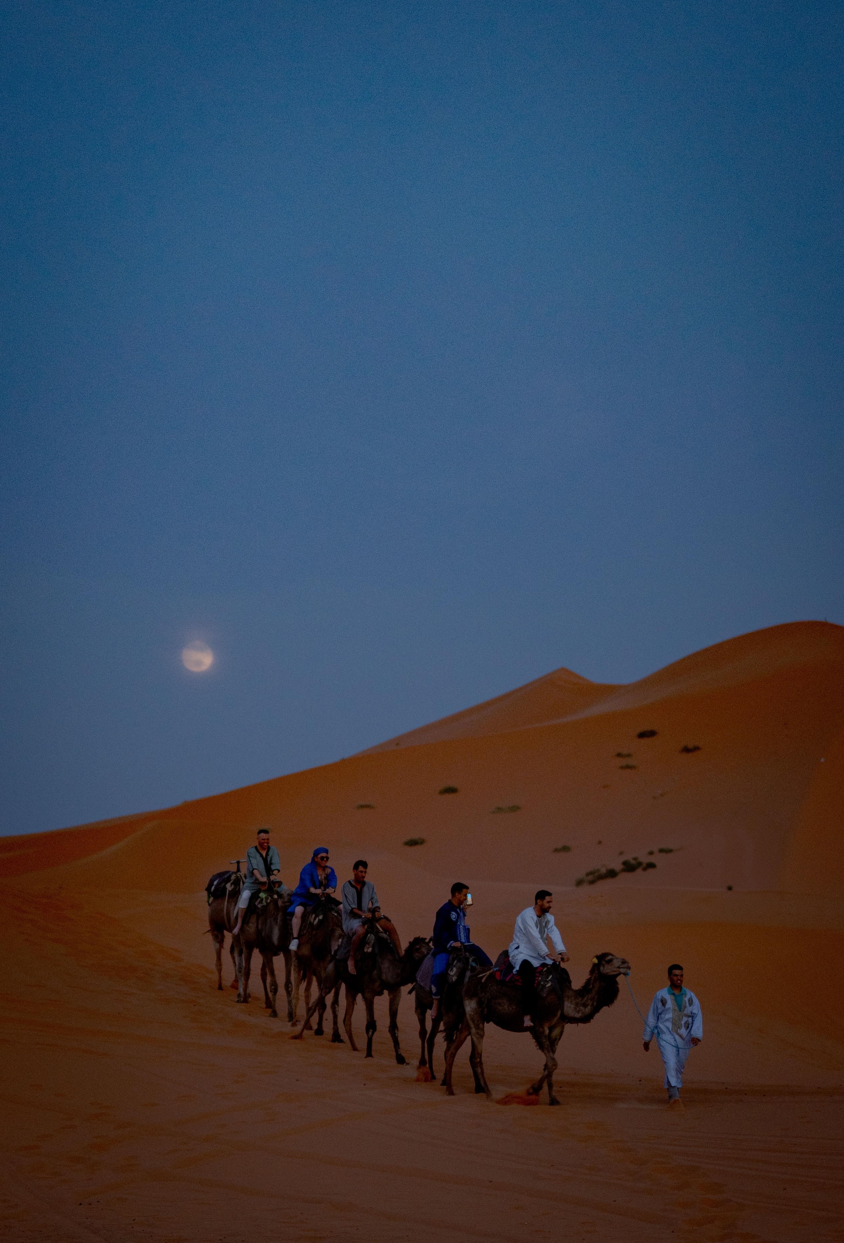 Doha: Relaxed Desert Night Safari, Camel Ride & Stargazing 3