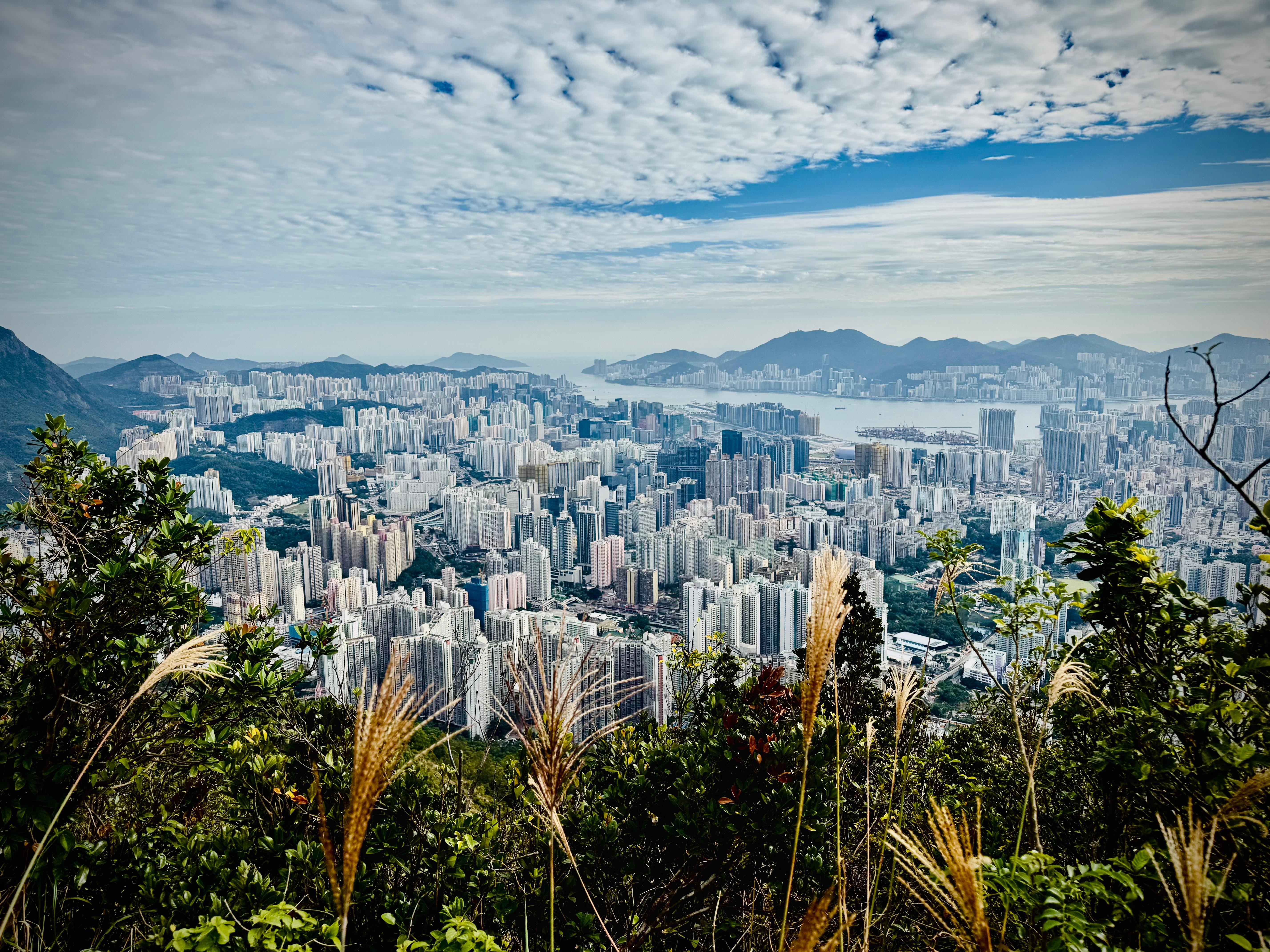 Hong Kong: Lion Rock Ridge Views Guided Hike (5 Hours) 2