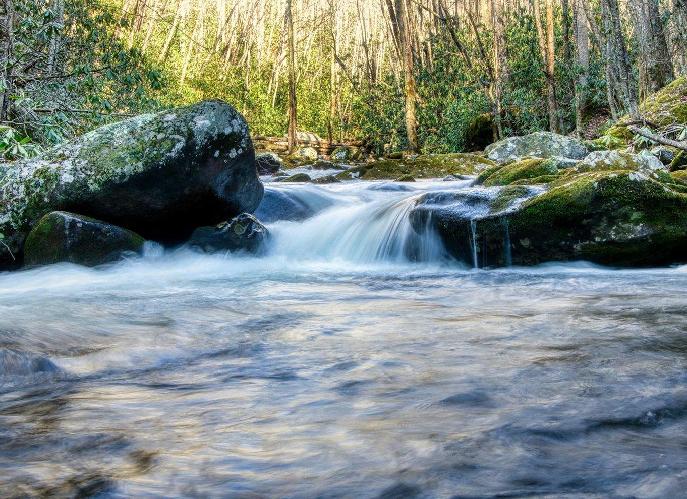 Shanghai: Anji Bamboo Stream & Clear Pools Private Day Trip