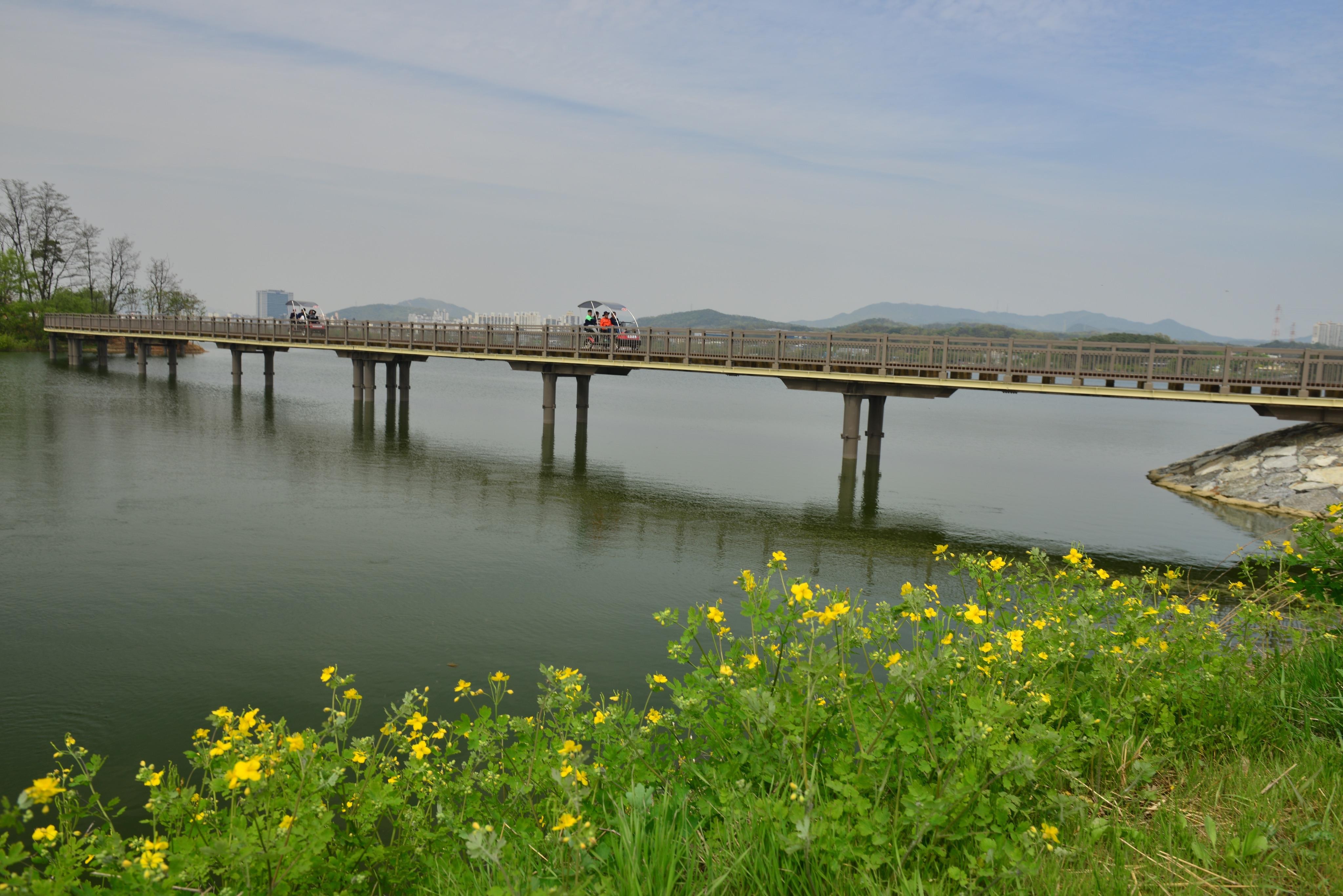 From Seoul: Suwon Uiwang Rail Park and Zipline Day Trip 2