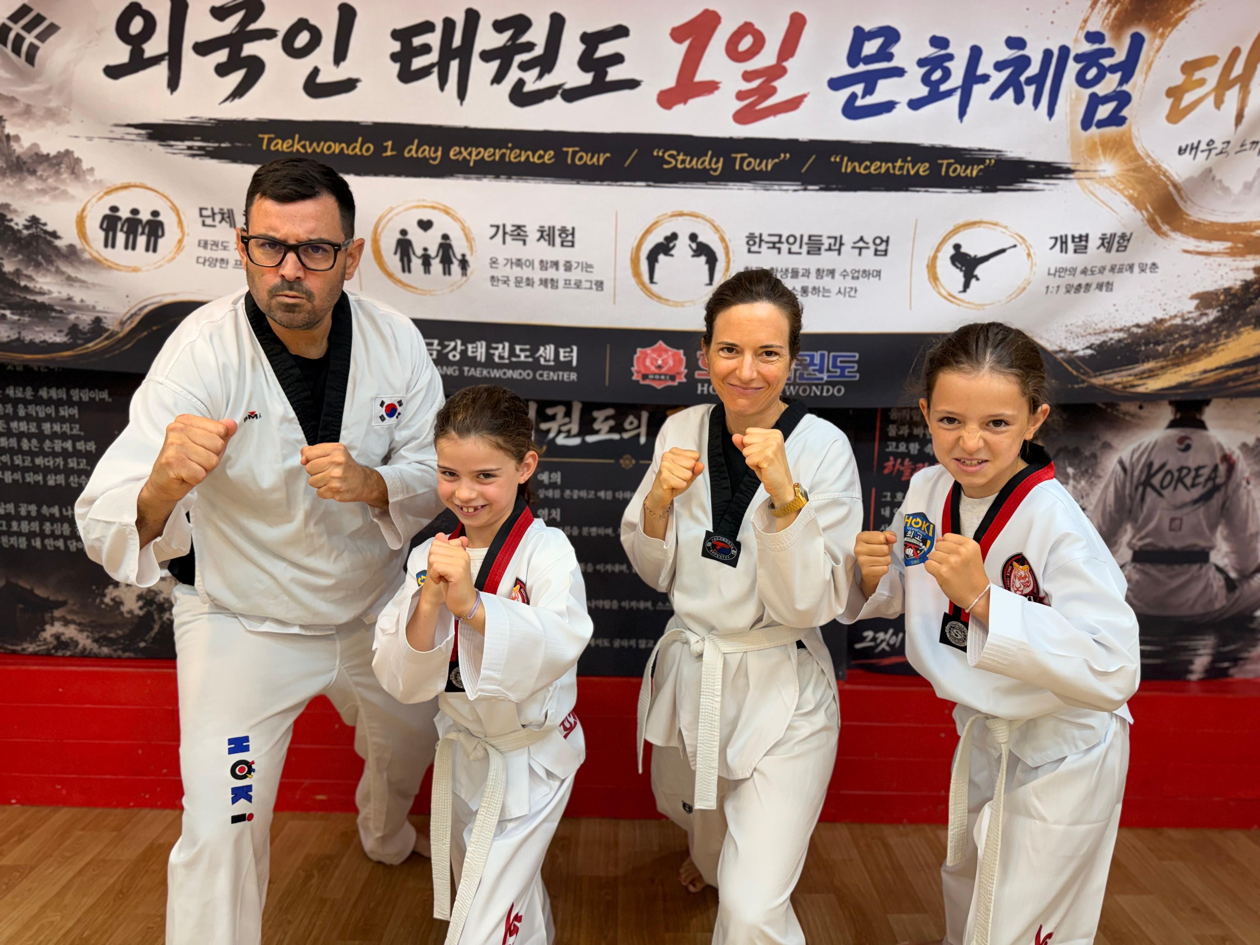 Seoul: Private Taekwondo Lesson for Trainees 2