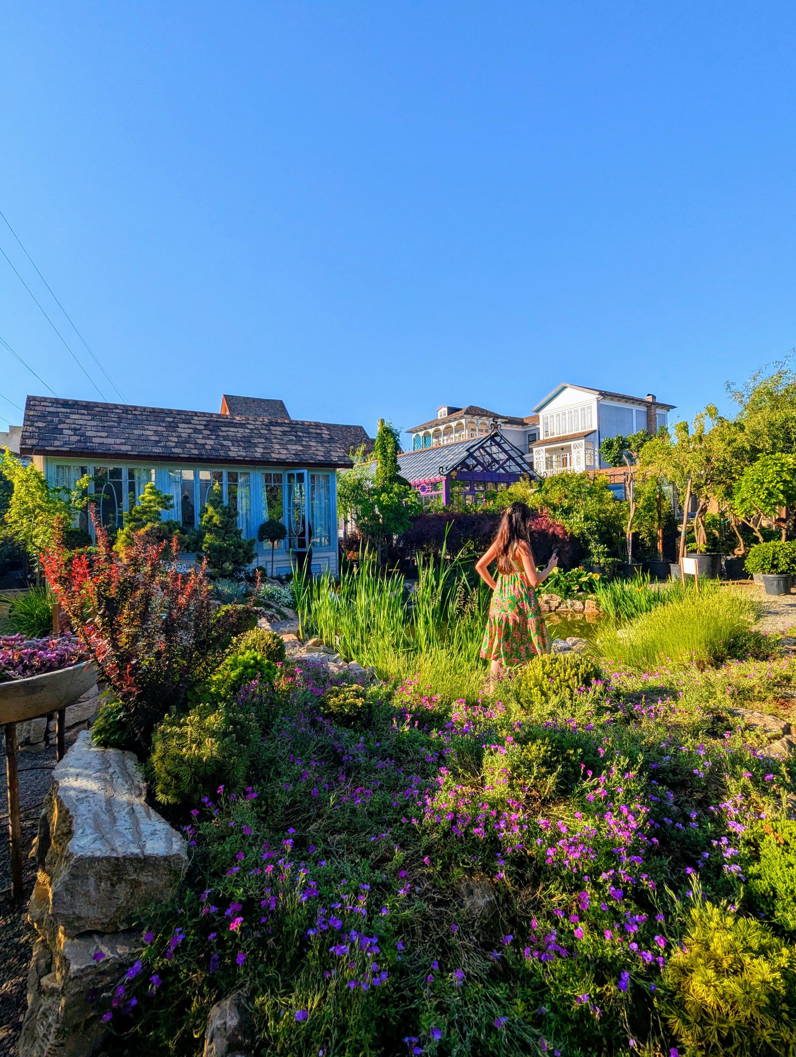 Tbilisi: Hidden Garden Photoshoot with Optional Lunch