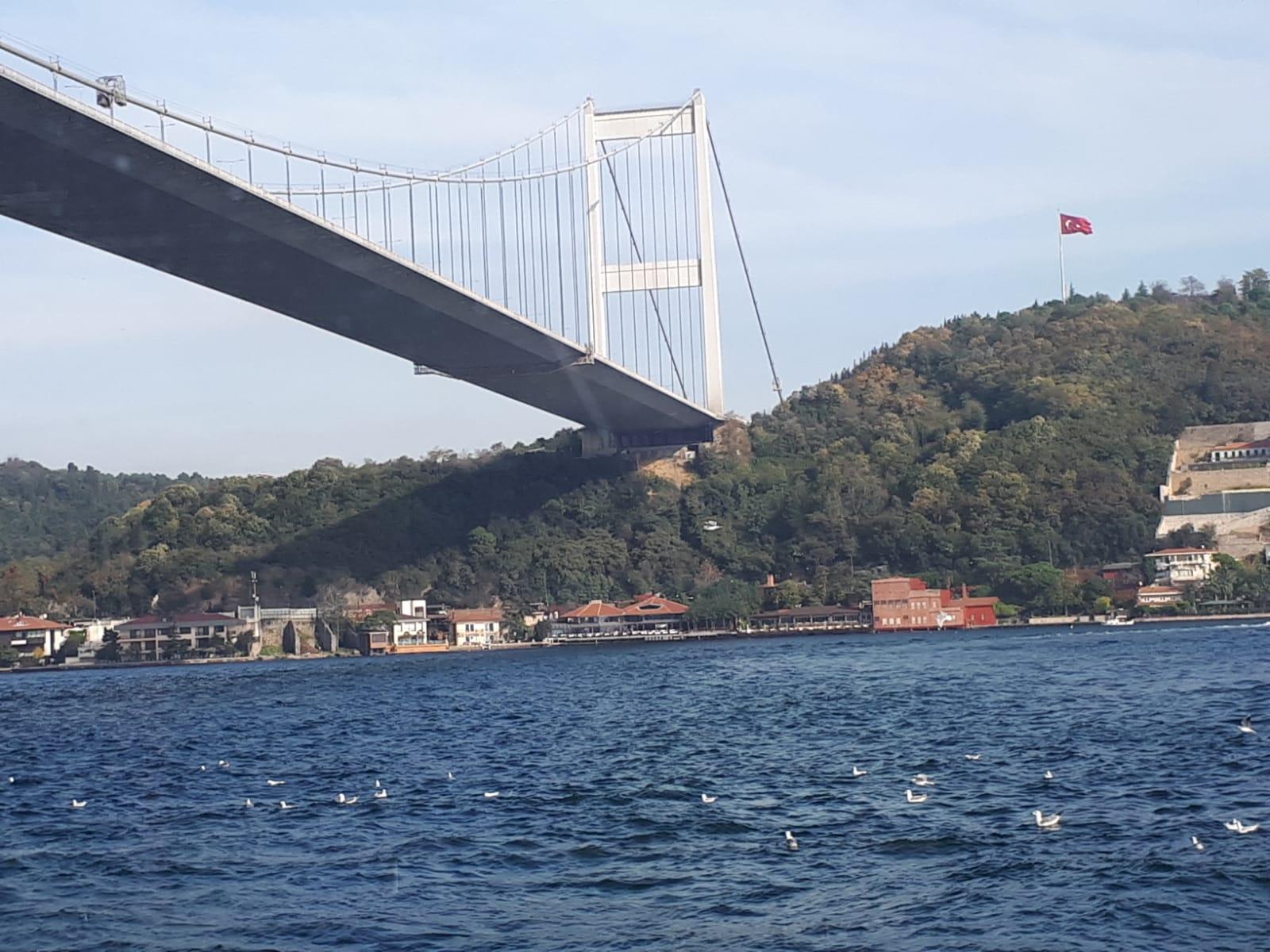 Istanbul: Full-Day City Tour with Bosphorus Cruise and Lunch 2