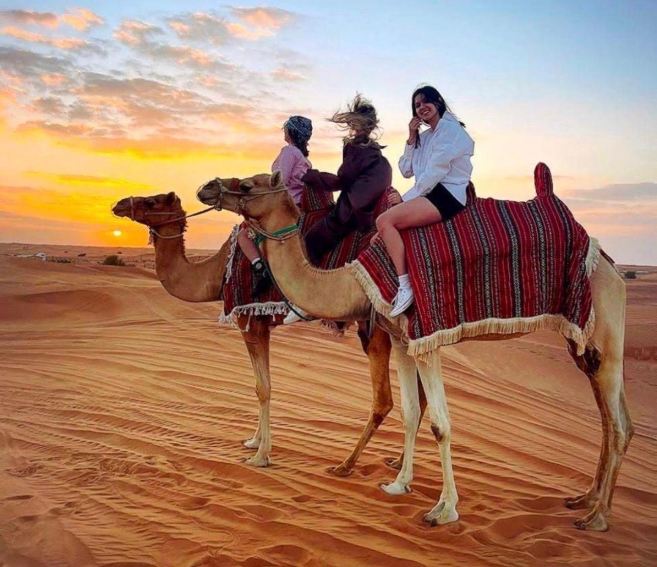 Doha: Desert Safari, Dune Bashing, Sandboarding & Salt lake 2