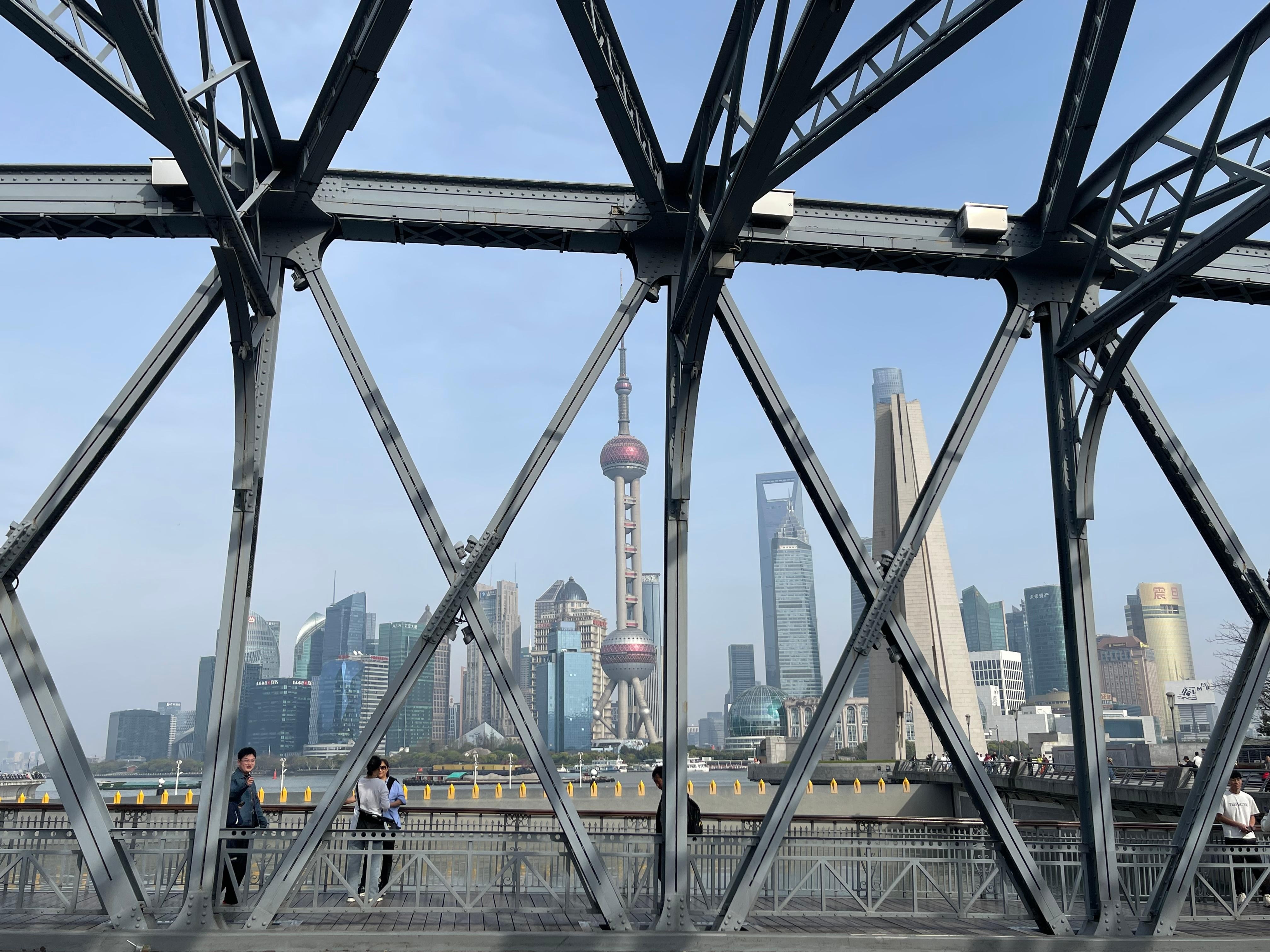 Shanghai Layover:Maglev+Private Car Day Tour 2