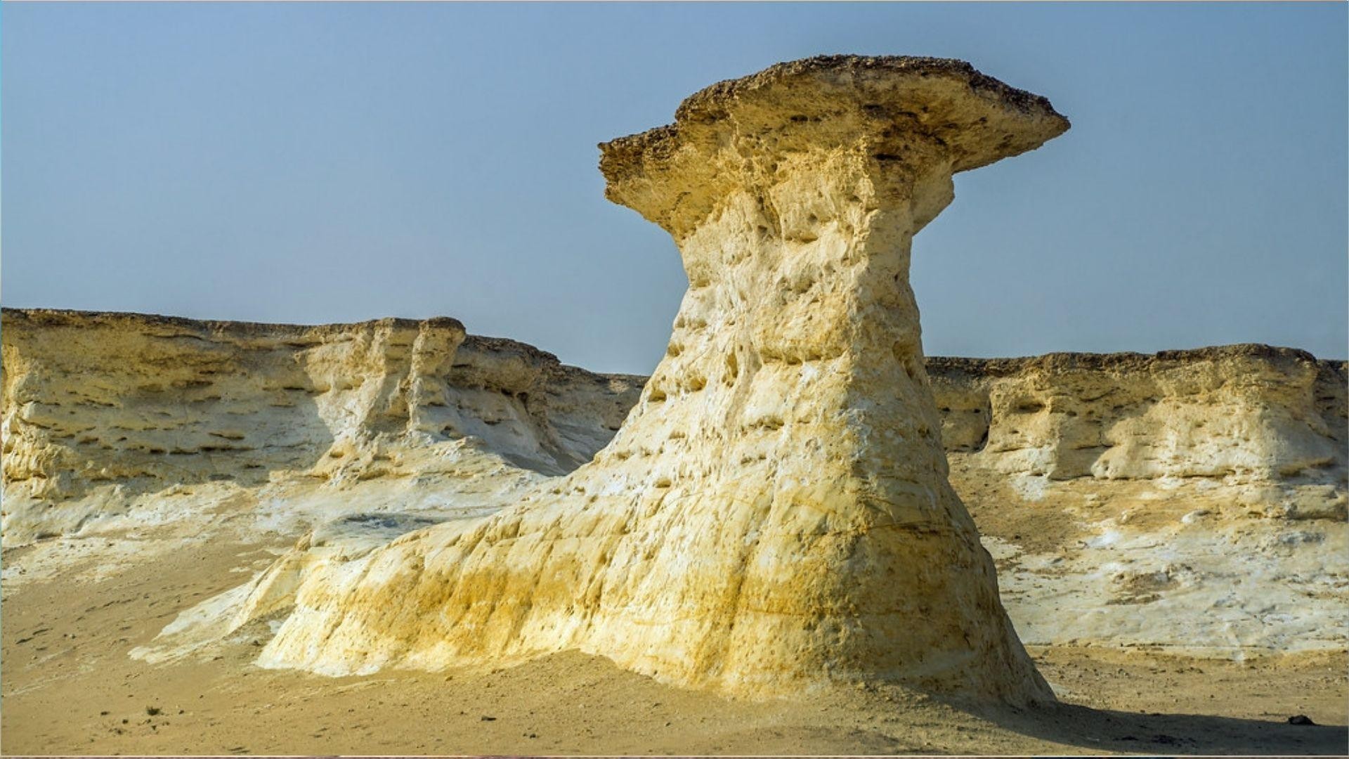 Full Day Tour to Qatar North And West With Pickup From Doha 2