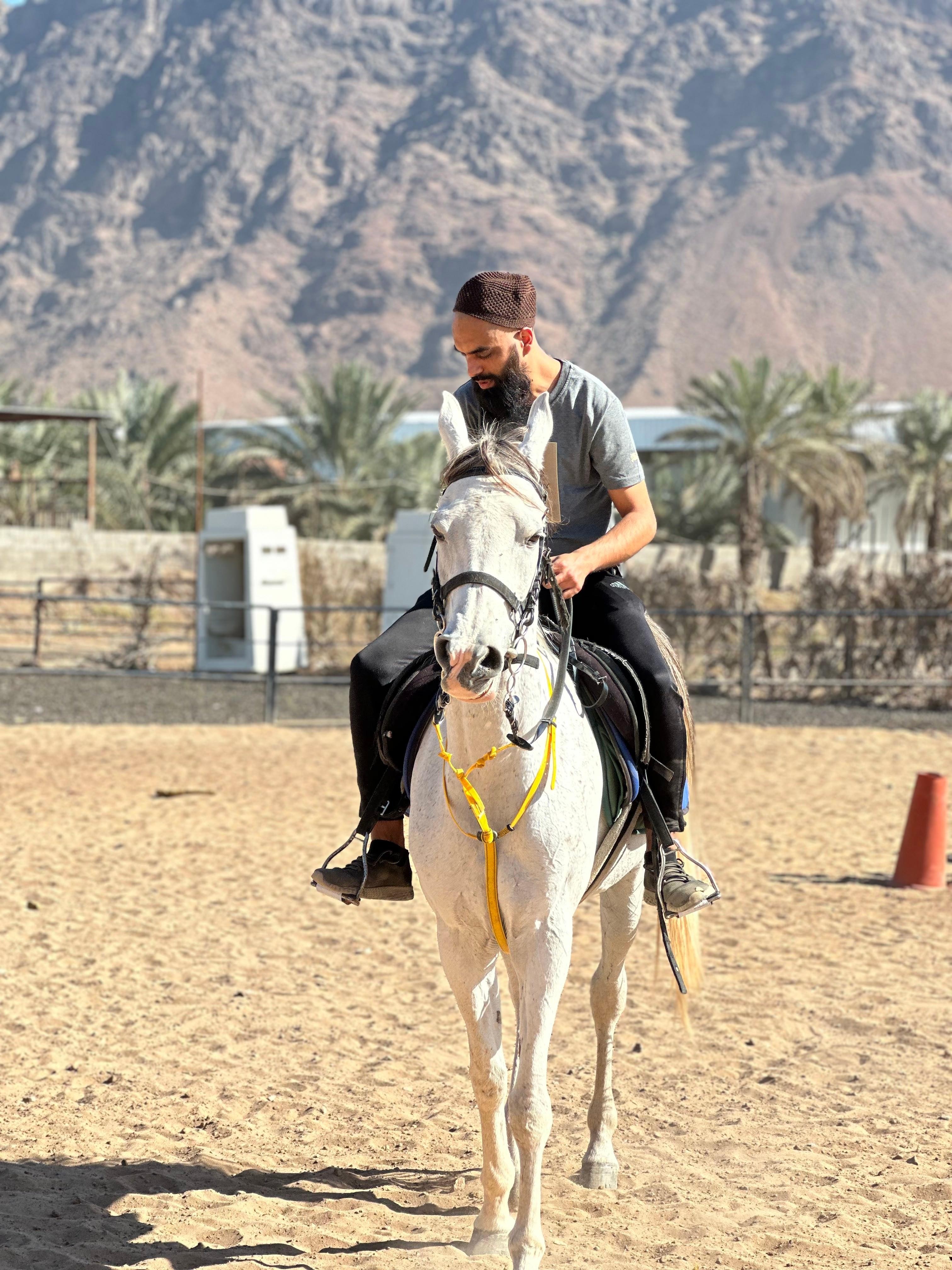 Madinah, The Prophet's City: Horseback Ride for All Levels 3