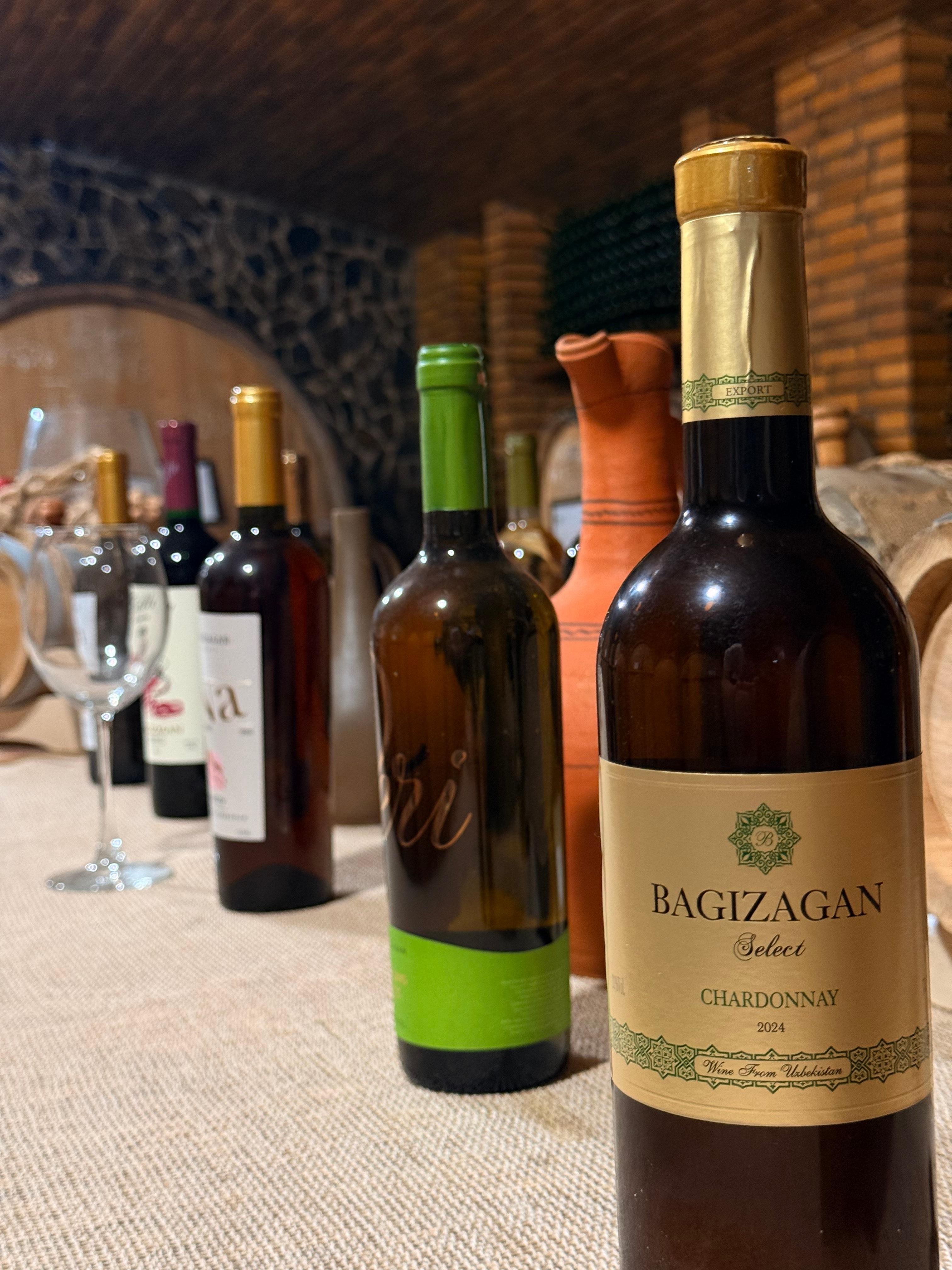 Samarkand: Bagizagan Winery Tour with Wine Tasting
