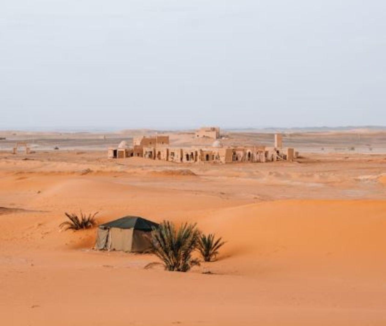 From Doha: Northern Qatar Guided Tour 3