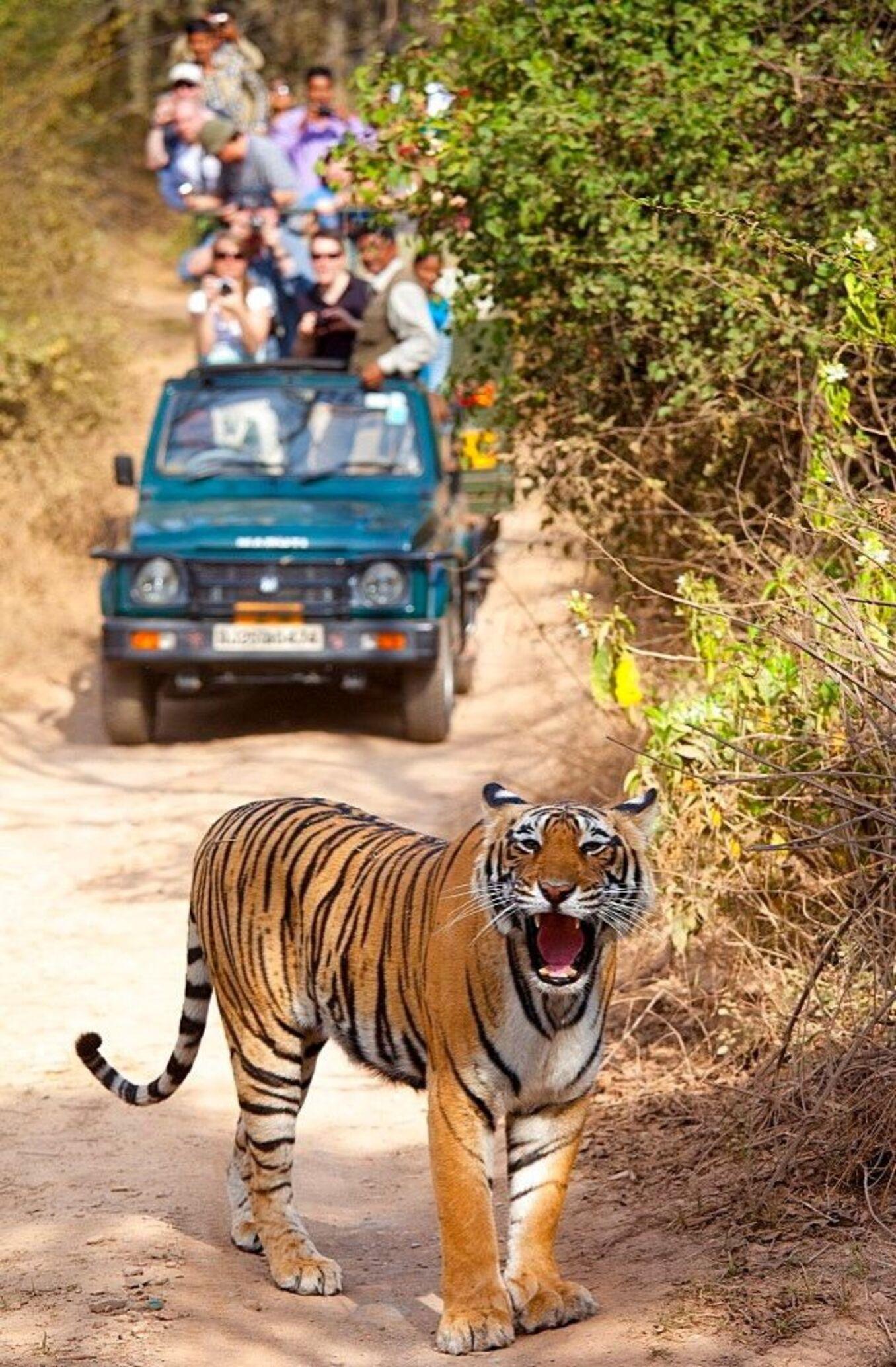 Pkr/Kathmandu: 3-Day Tiger, Rhino, Crocodile, Watching Tour 2