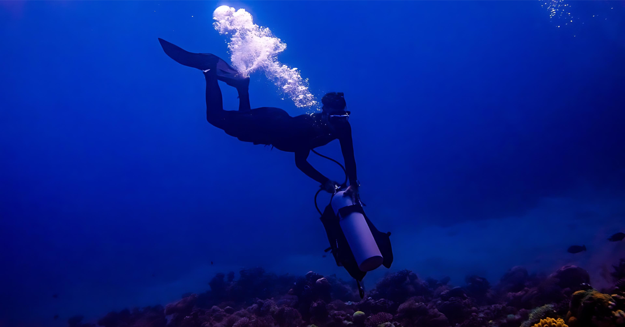 Explore Aqaba's Depths: Scuba Diving Tour, with Hotel Pickup 3