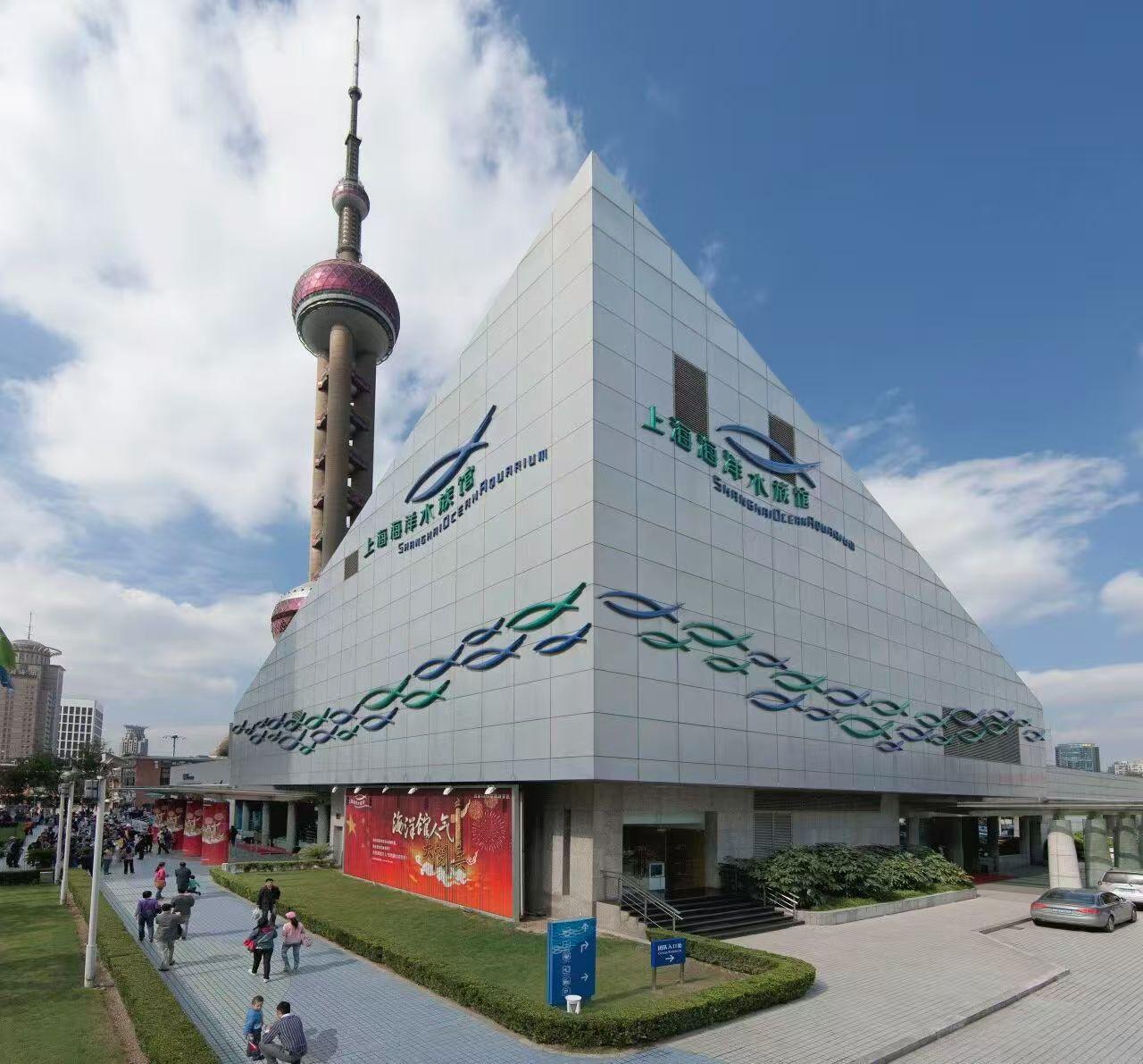 Shanghai: Shanghai Ocean Aquarium Tickets 3