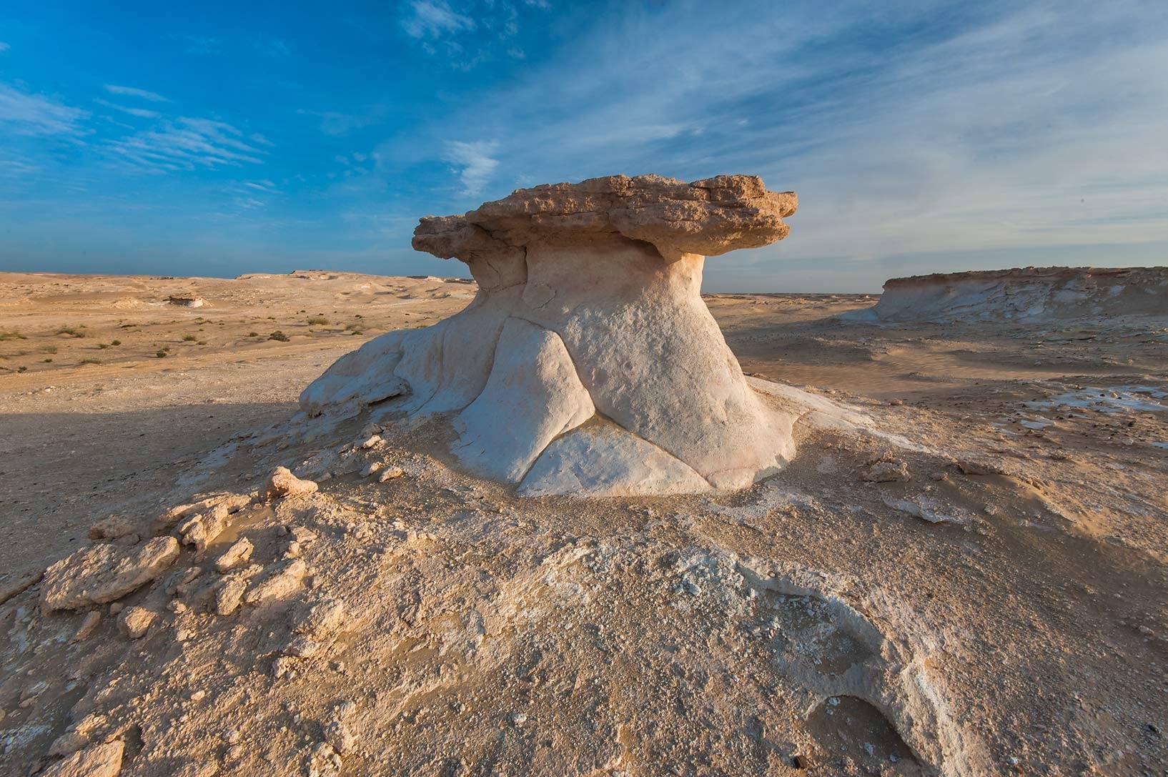 Explore West Qatar: Tour with Sheehaniya Camel Racetrack Visit 3