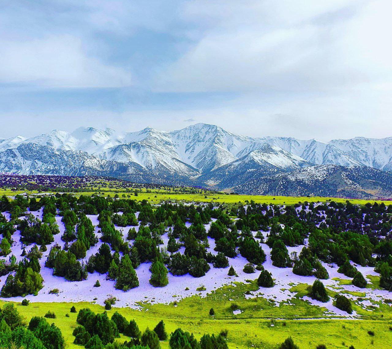 Samarkand: Zomin National Park Day Trip with Guide 2