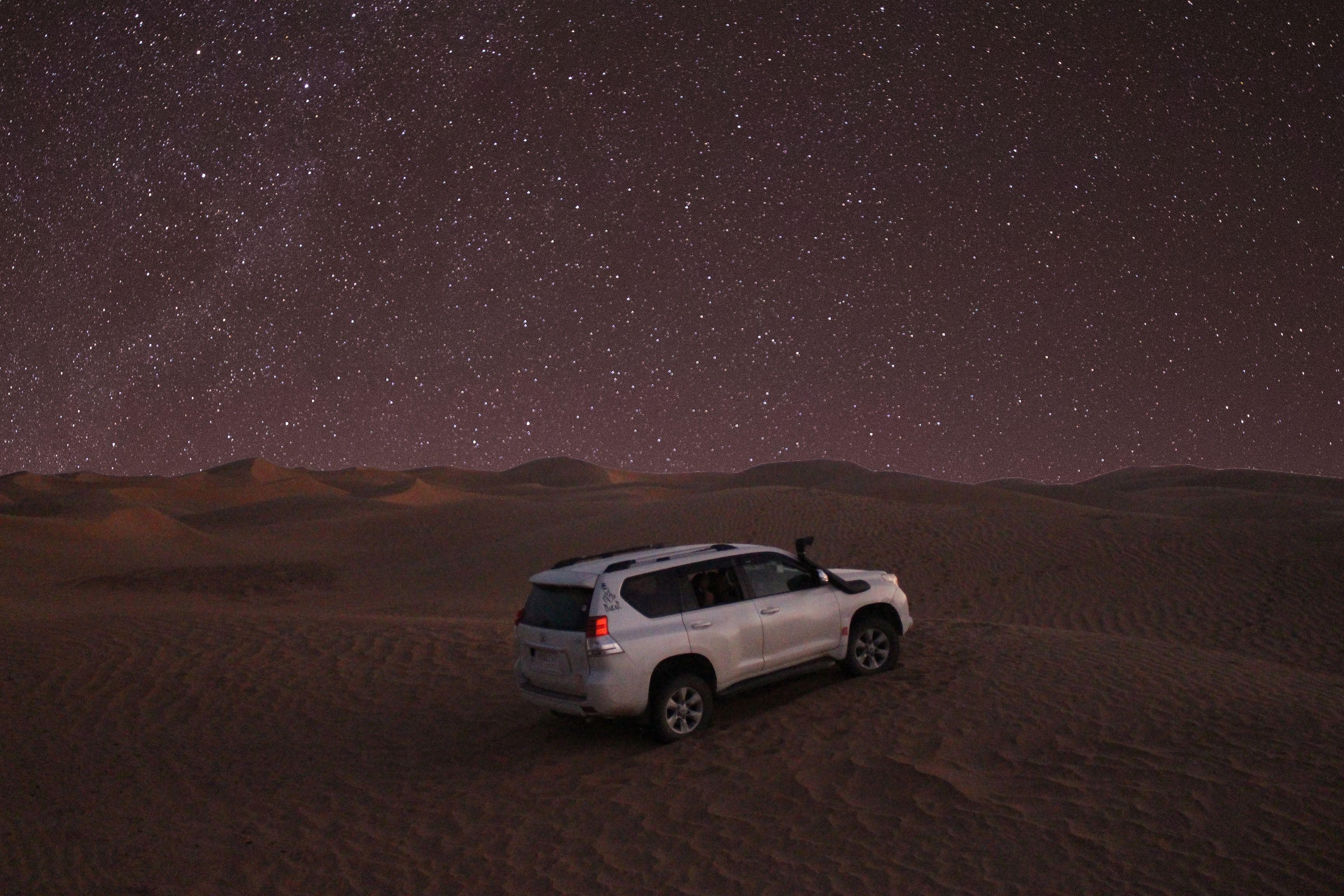 Doha: Relaxed Desert Night Safari, Camel Ride & Stargazing