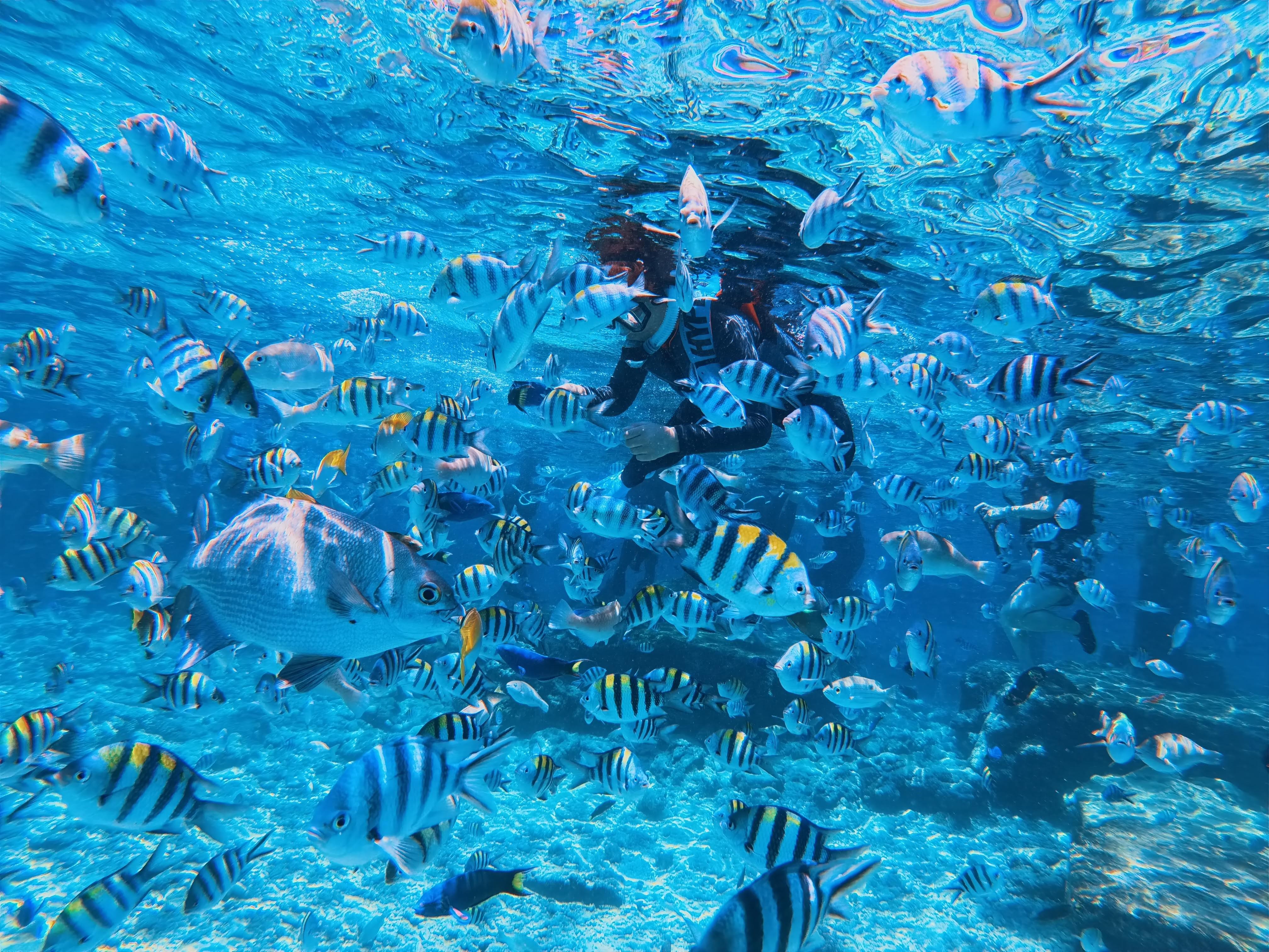 Mactan: Private Island-Hopping & Snorkeling Boat Tour 3