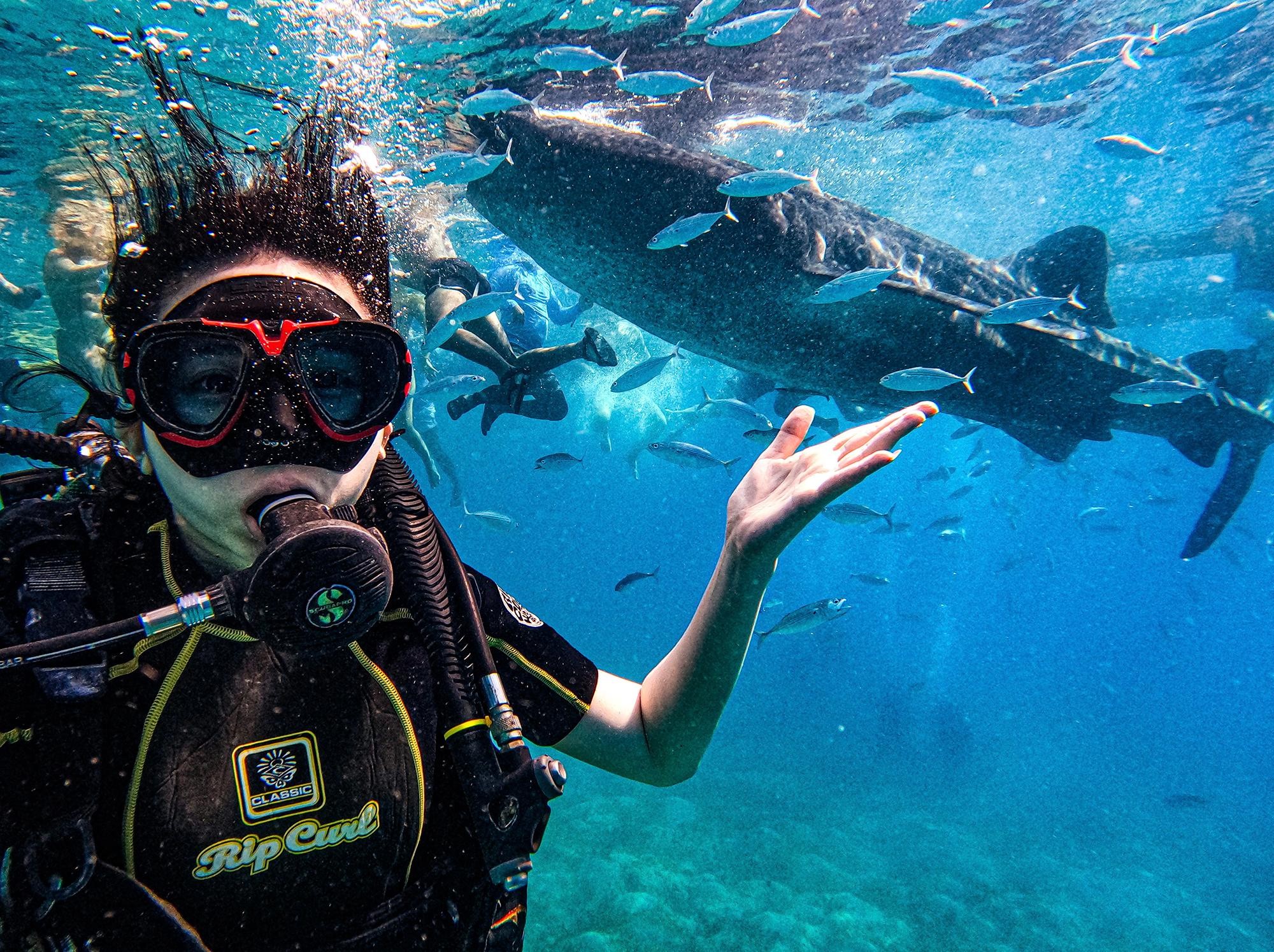 Cebu: Whale Shark, Tumalog, and Moalboal Tour