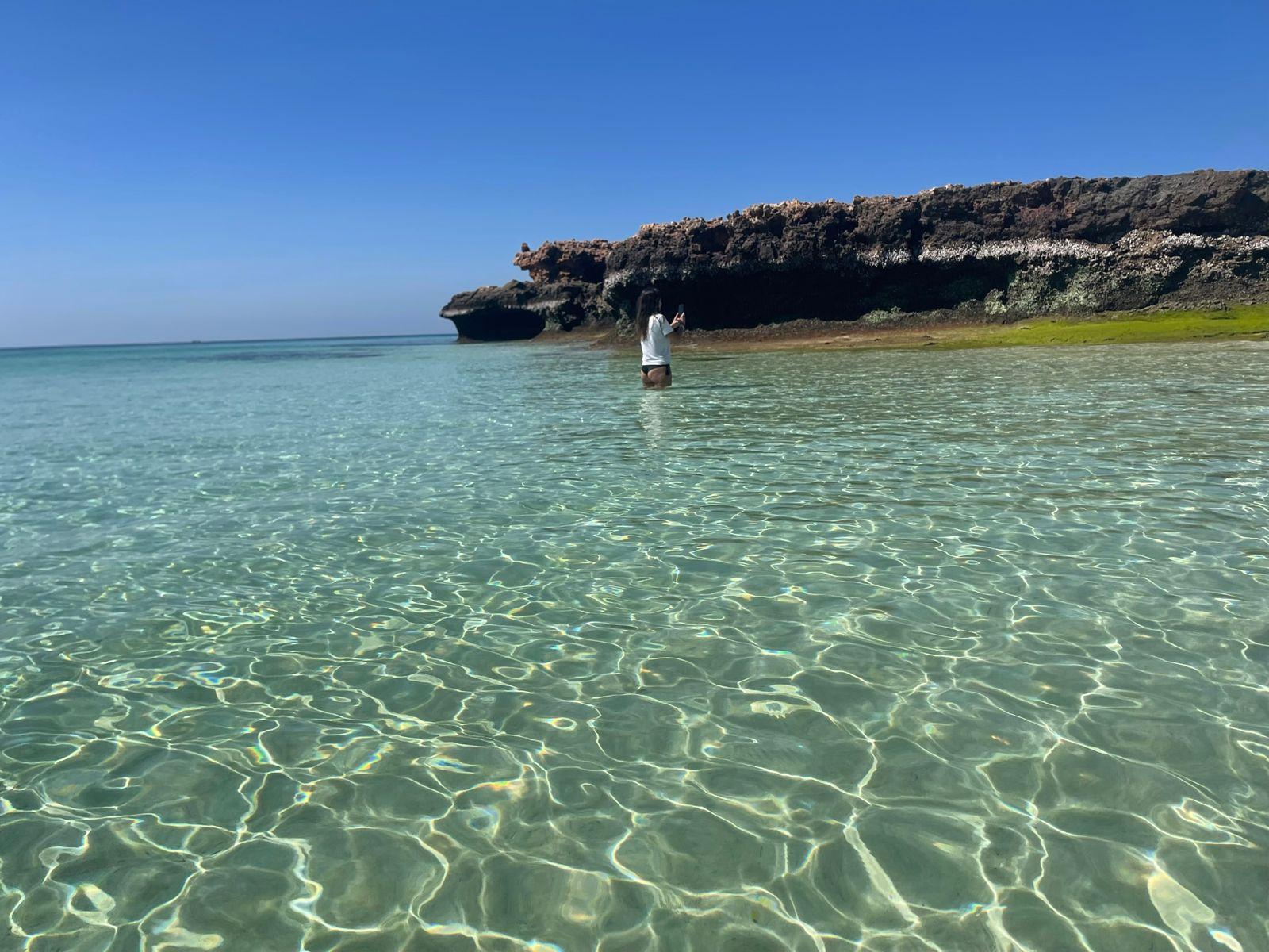 Muscat: Dolphin Watch & Snorkeling 2