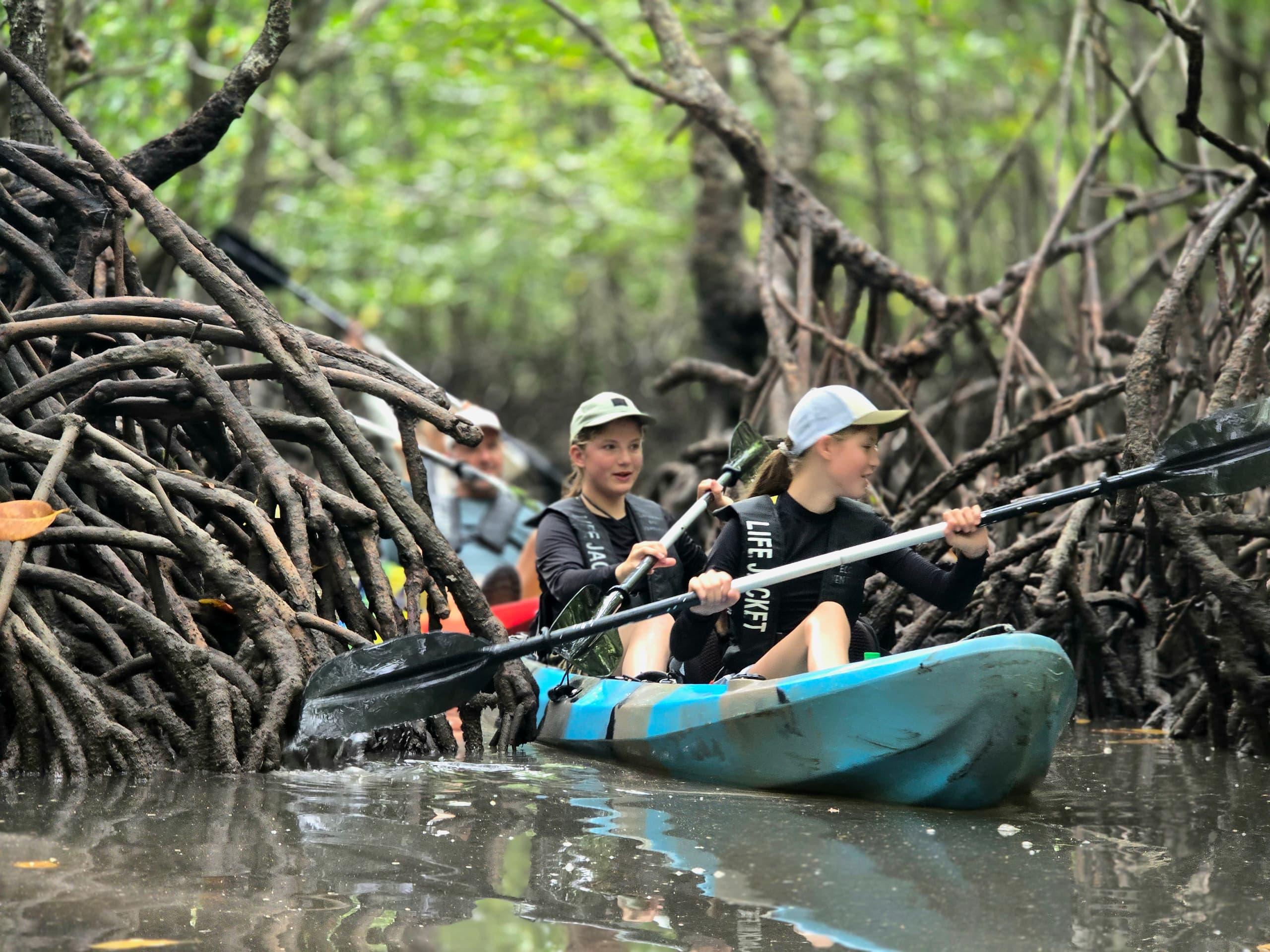 Langkawi: Kilim Geoforest Mangrove Kayak Tour with Lunch 3