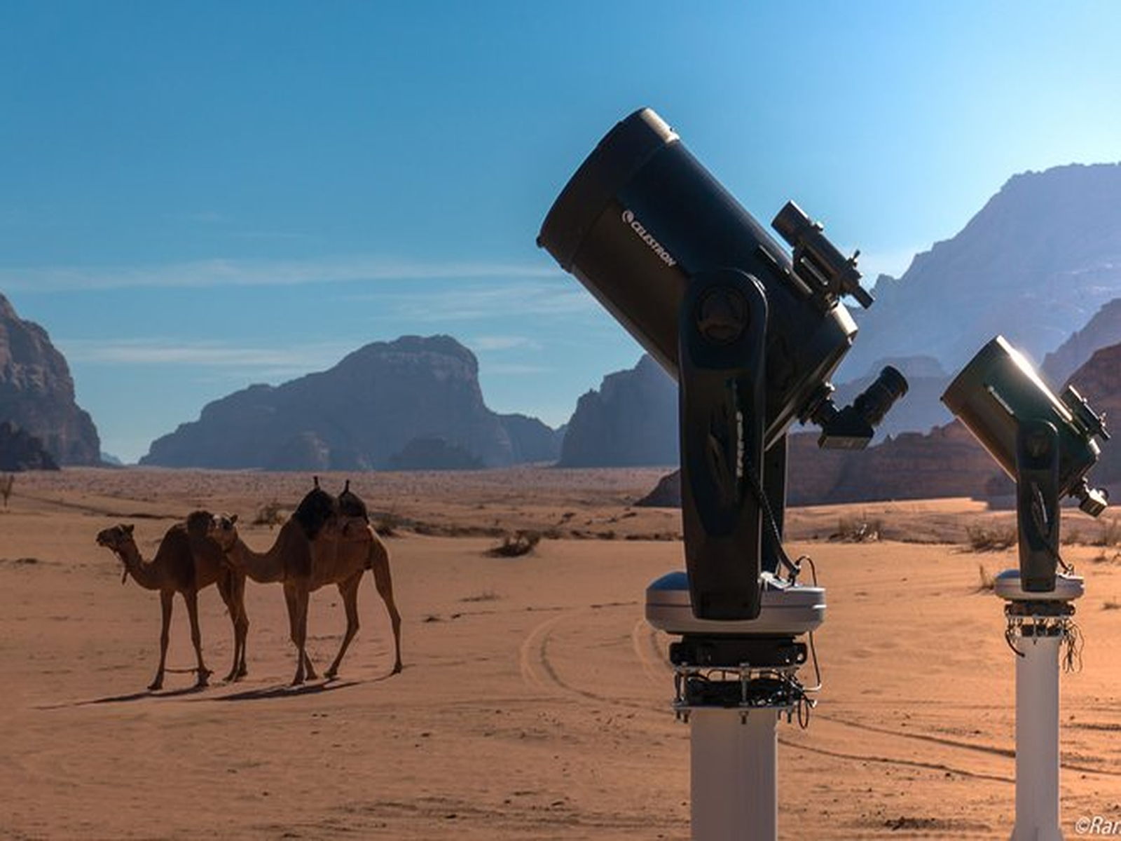 Guided Stargazing, Telescopes & Souvenir Photo in Wadi Rum 2