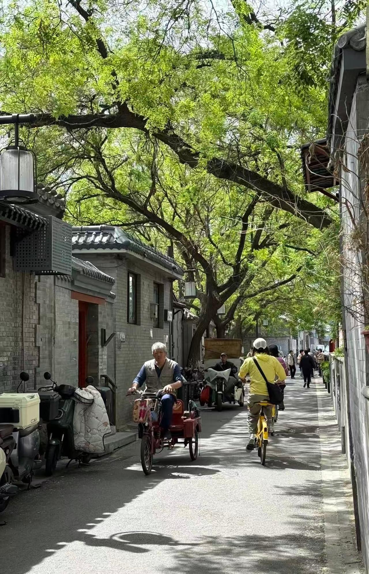 Beijing: Forbidden City, Jingshan Park & Hutong Tour 3