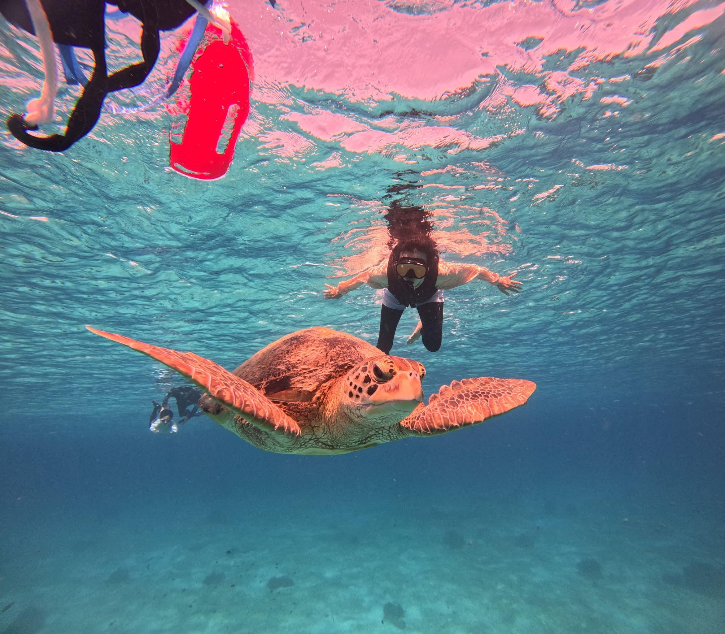 Bohol: Balicasag & Virgin Island Hopping Tour with Lunch 3