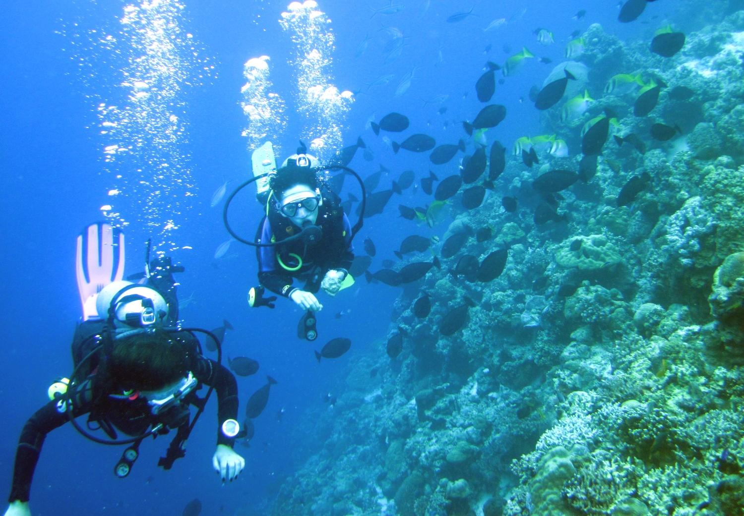 Mactan: PADI Open Water Diver Certification Course 3
