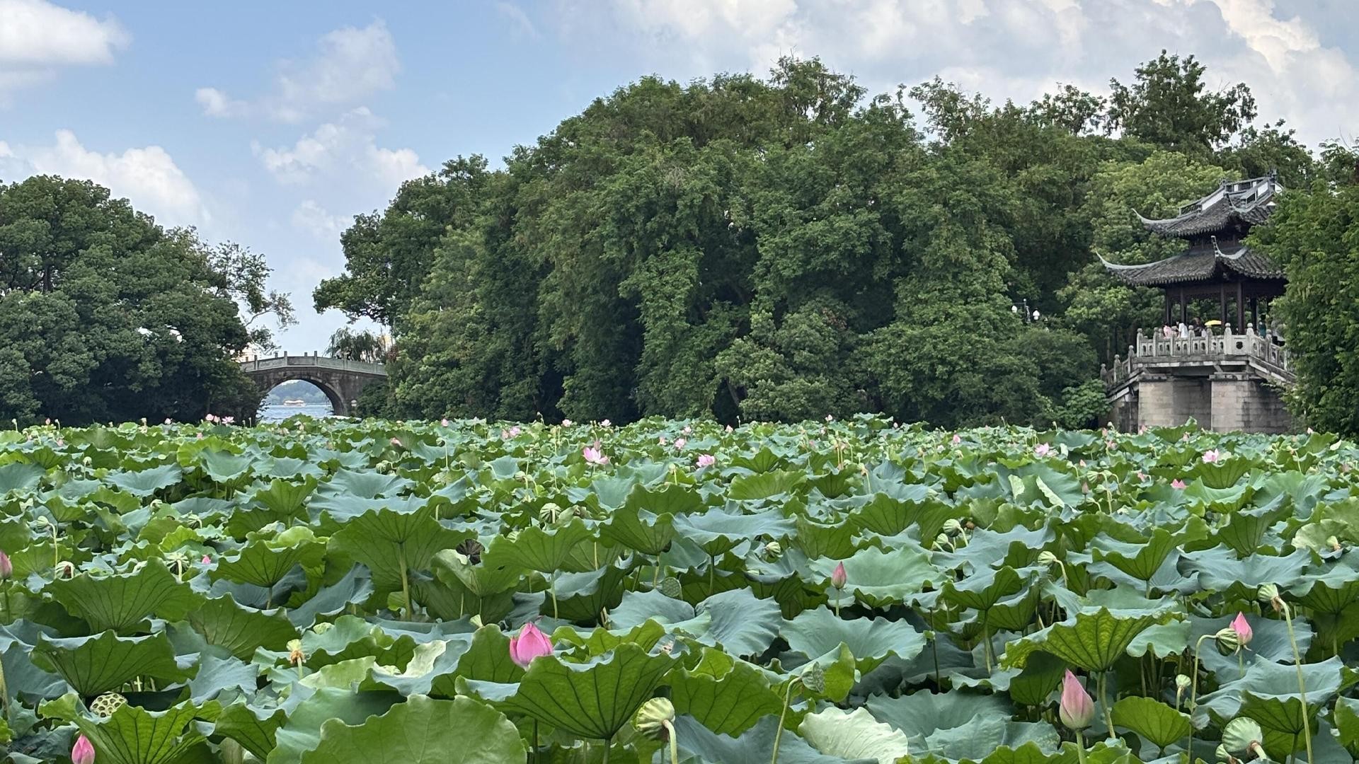 From Shanghai: Hangzhou Day Trip with West Lake Cruise 3