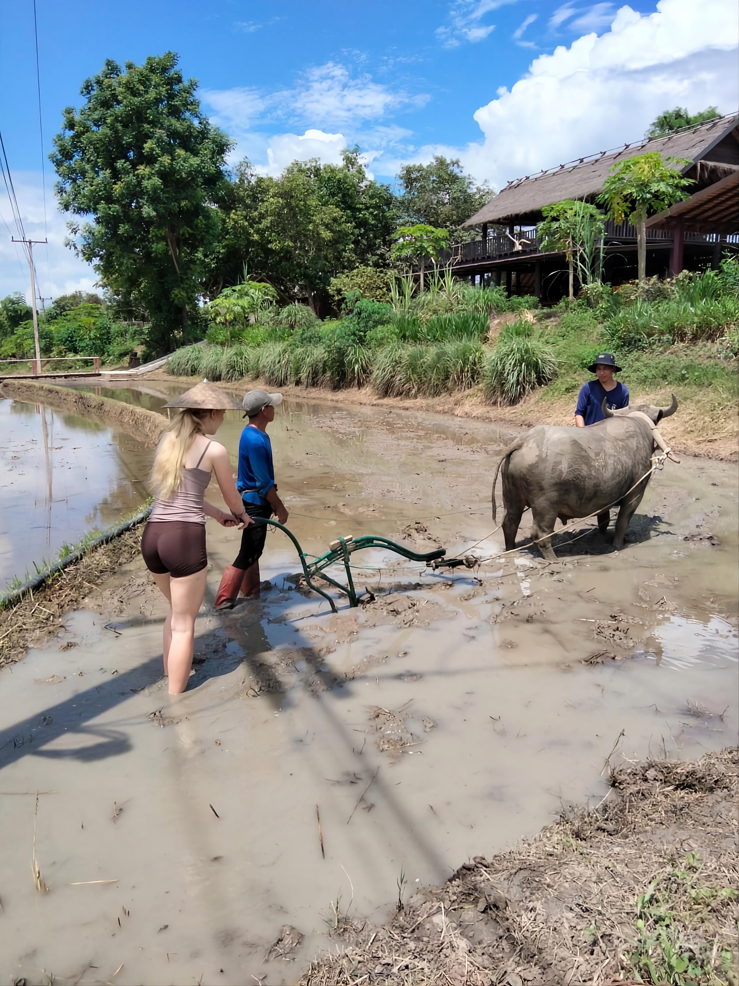 Kuang Si Waterfall & Rice Farm Experience with Sunset Cruise 3