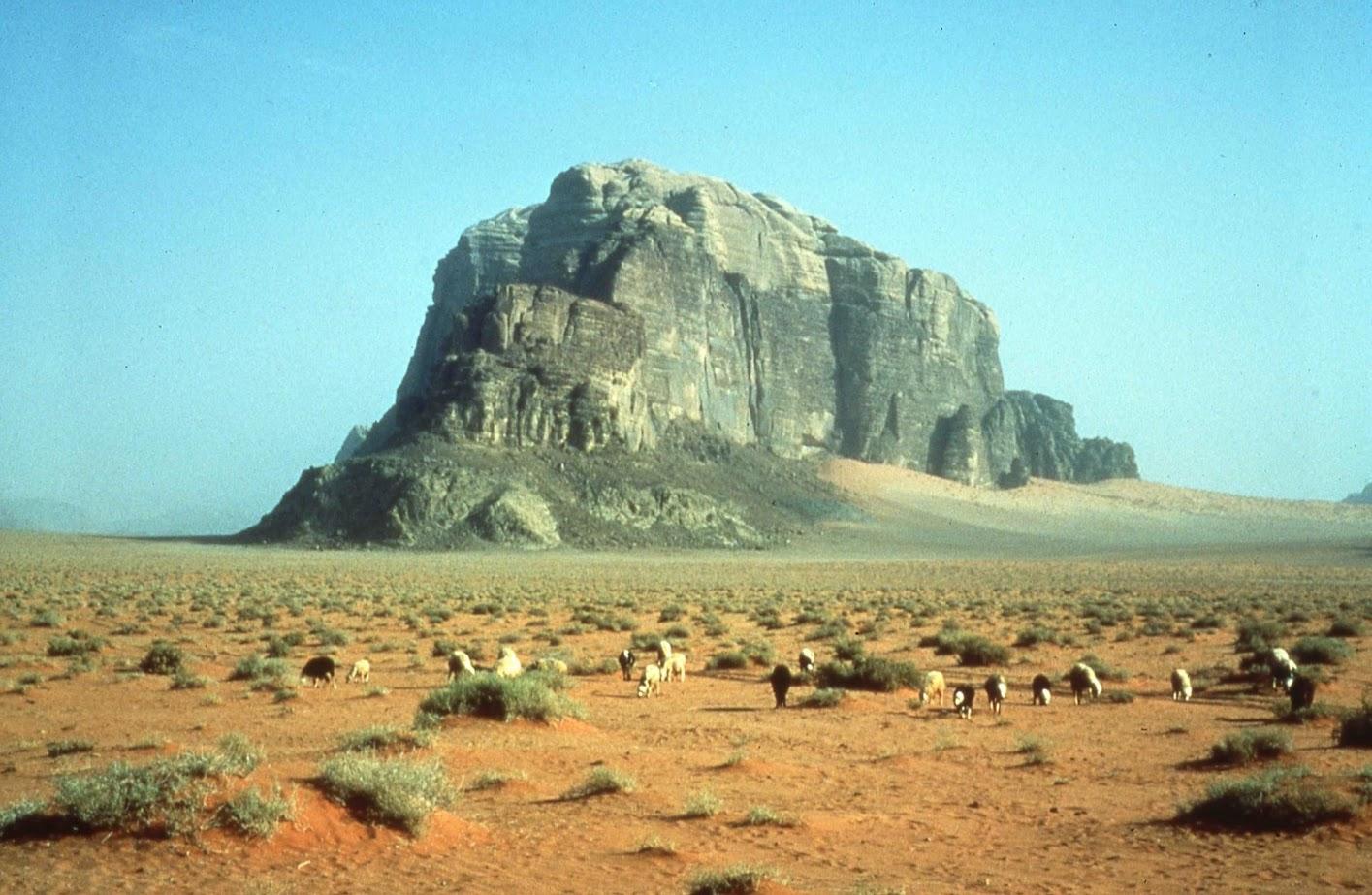 Wadi Rum: Half-day 4x4 Tour with Sandboarding and Canyons 2