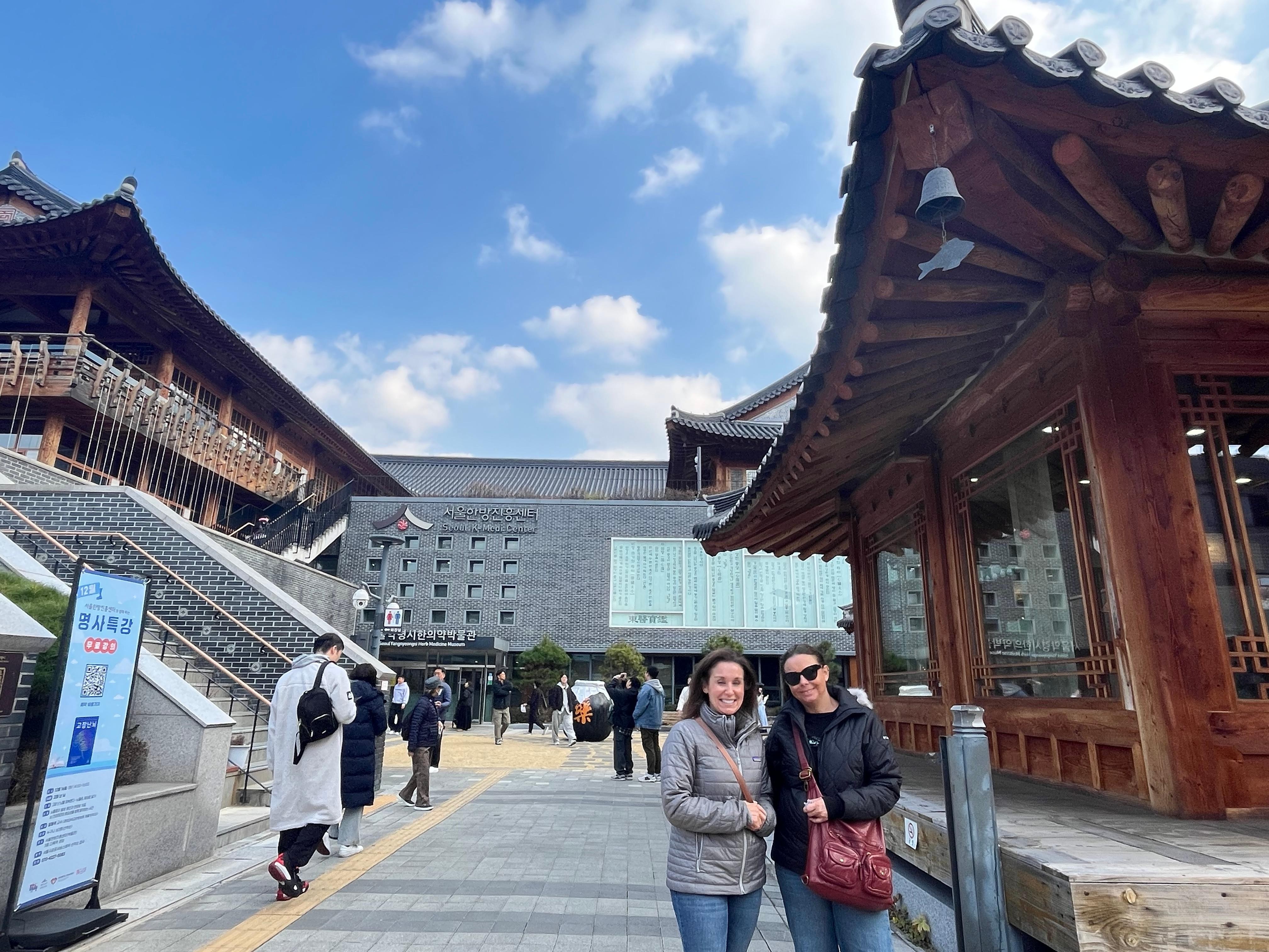 Seoul Market Crawl: Herbal Wellness, Food & Vintage Hunt
