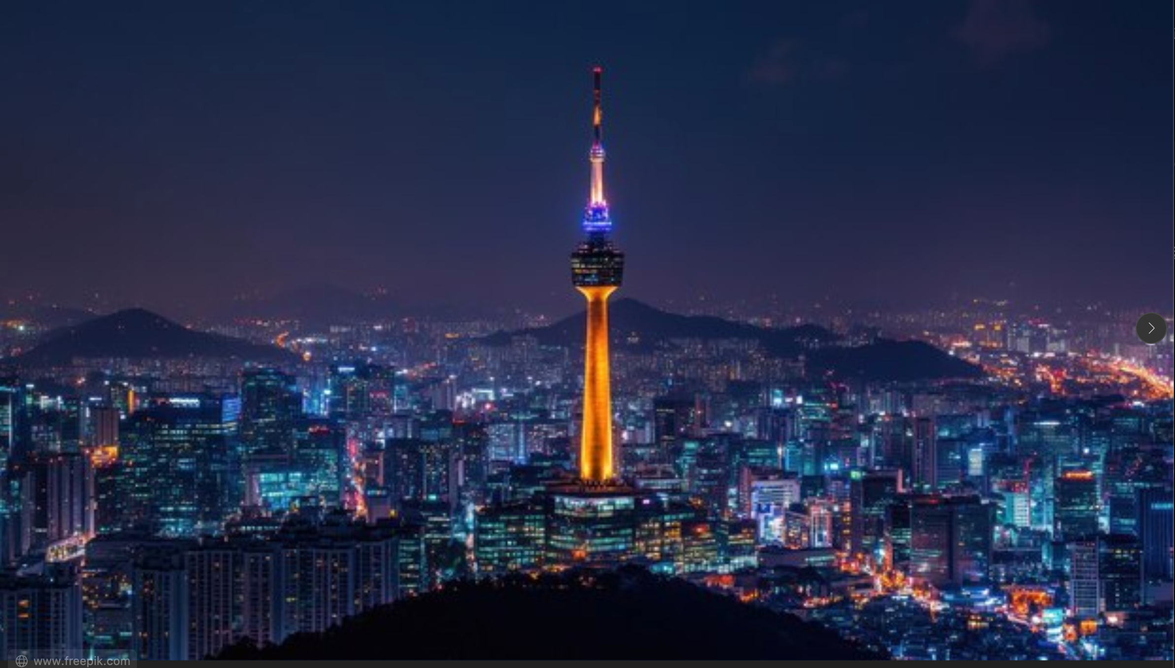 Seoul: Private Tailored Tour with Interpreter